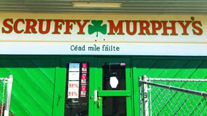 Scruffy Murphy's photo