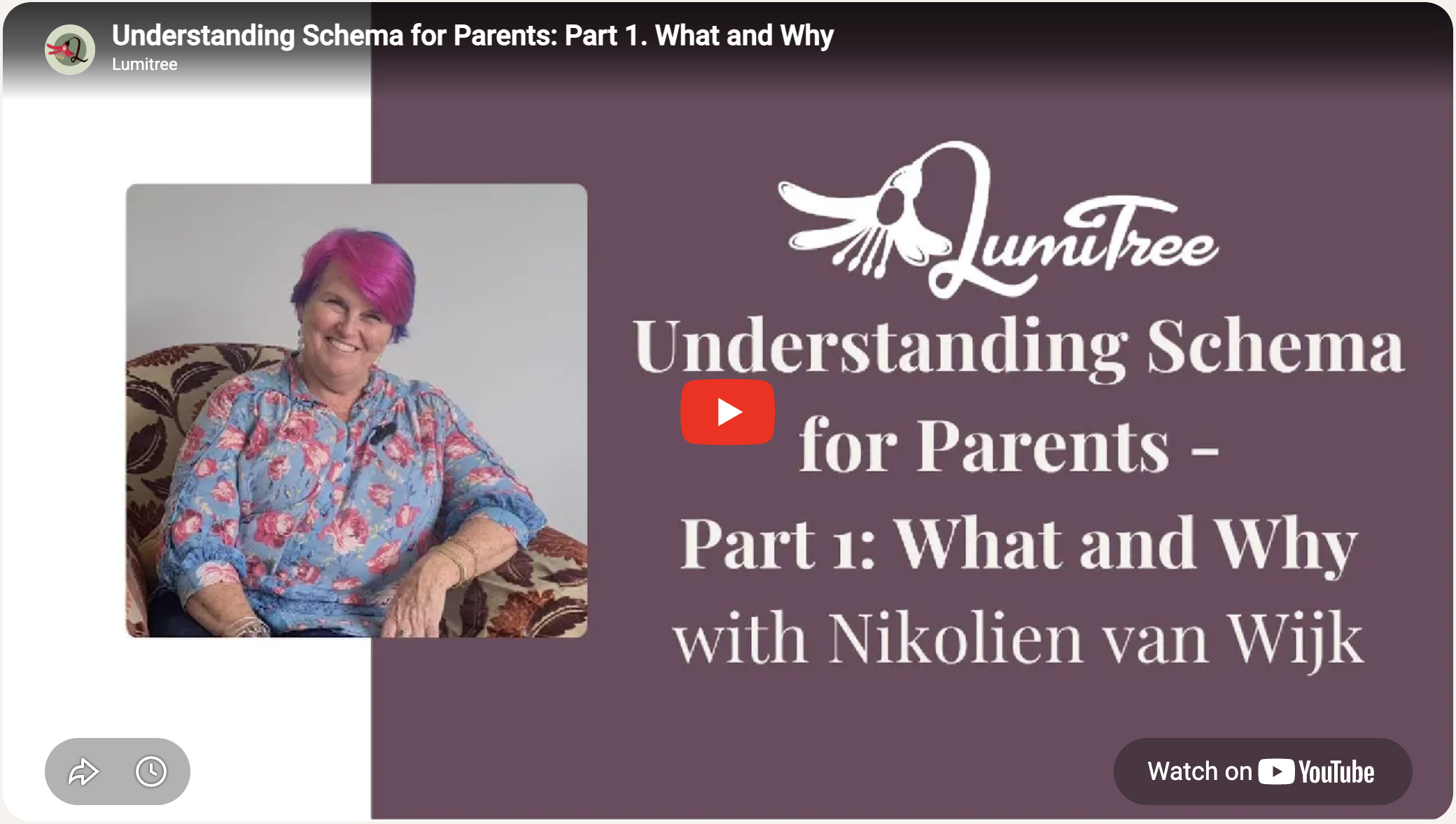 Understanding Schema for Parents- Part 1: What and Why