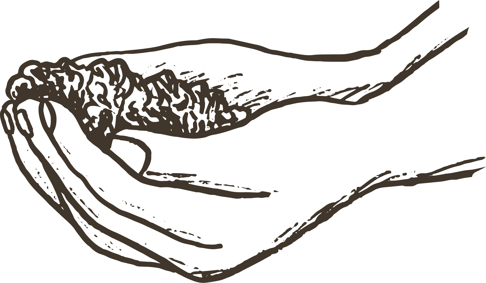 LATR-Hands-Earth.png