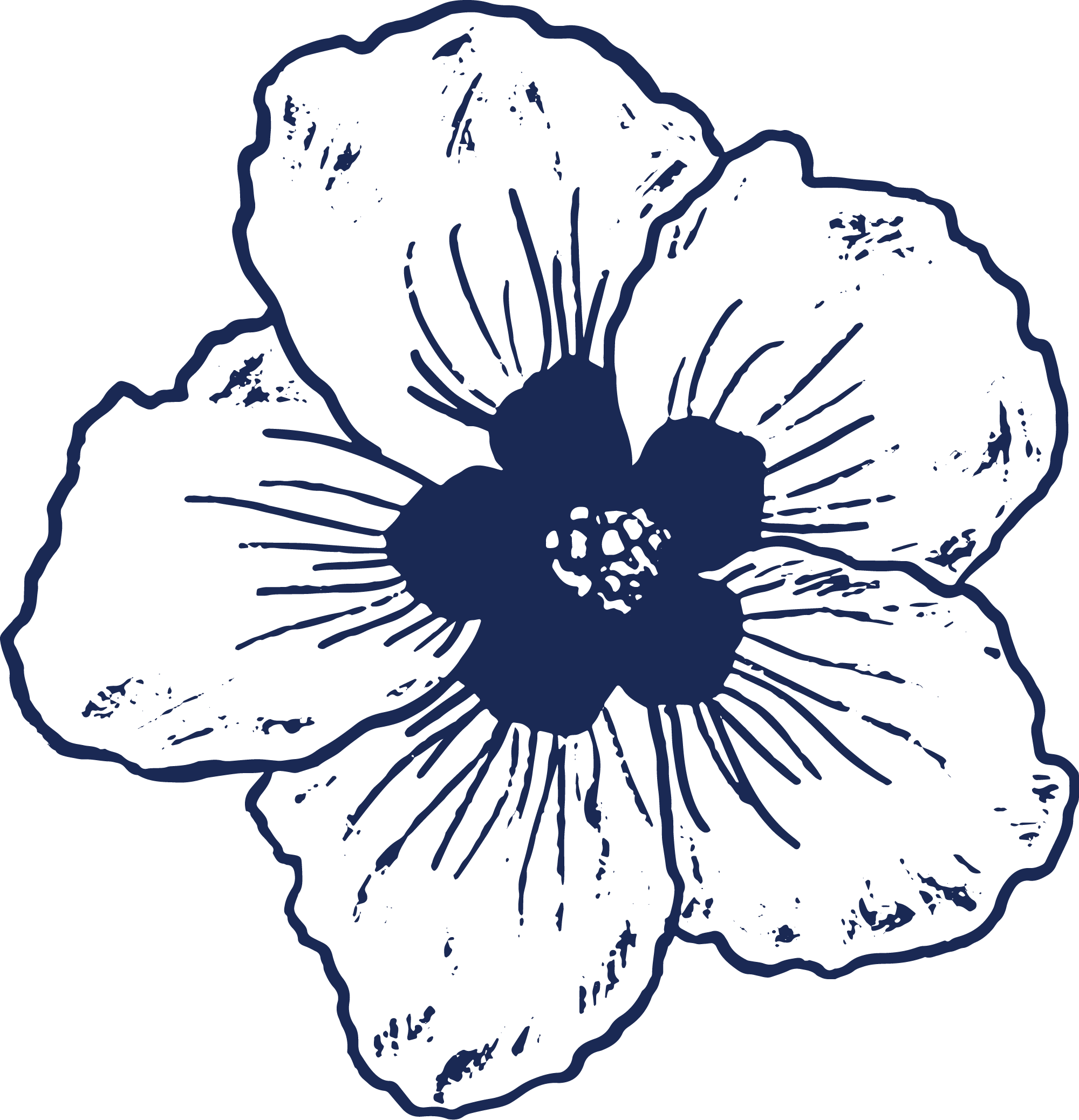LATR-Mugunghwa-Ocean.png