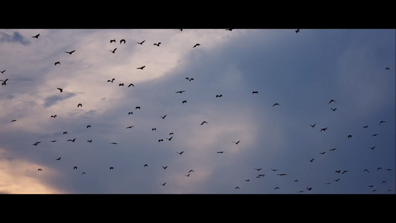 Screenshot (1170).png