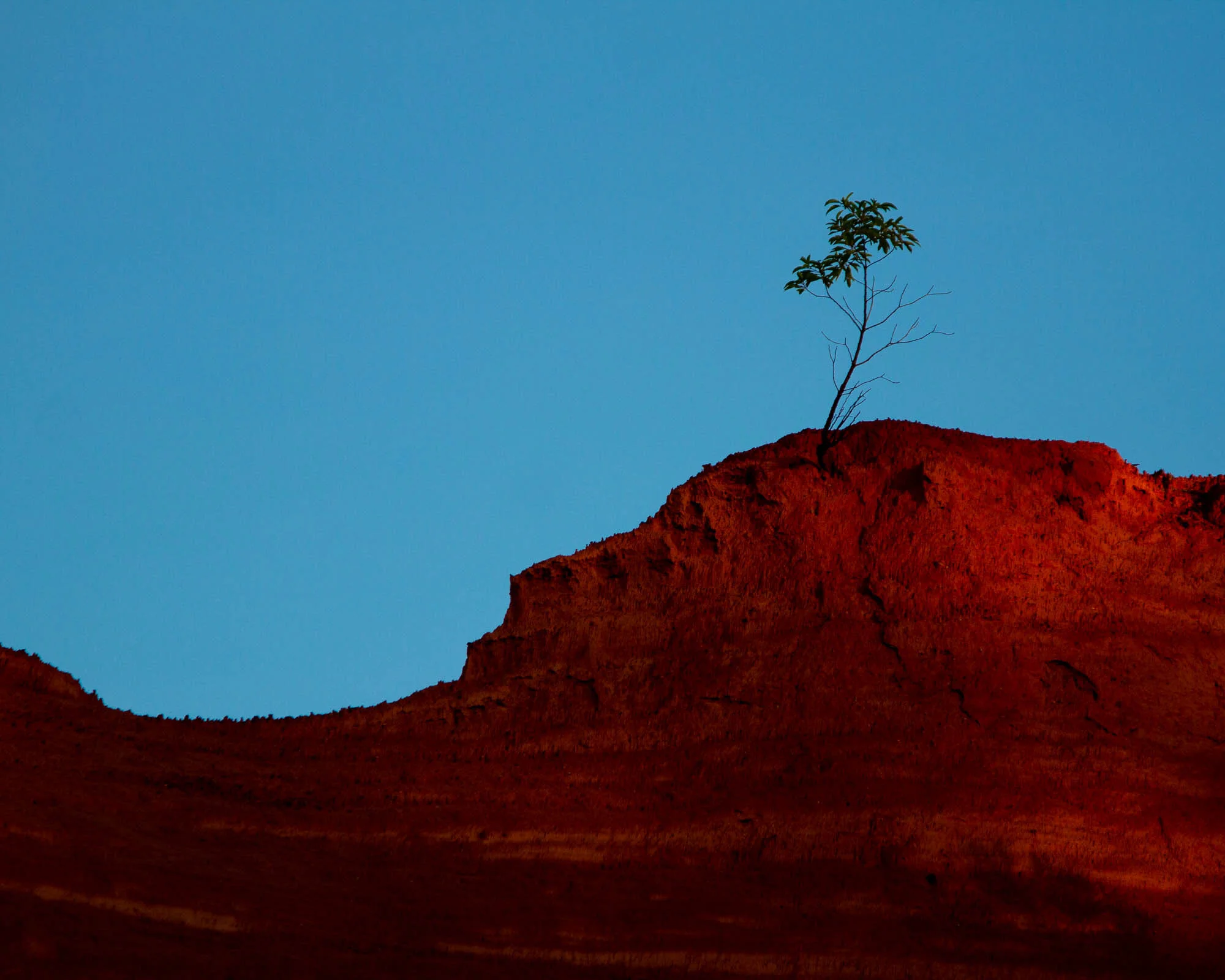 Solitary Life

The edge of the sunrise's cast starts to illuminate the rocky red outcroppings of Providence Canyon. A single sapling stands tall and secure, withstanding the constant erosion in the area.