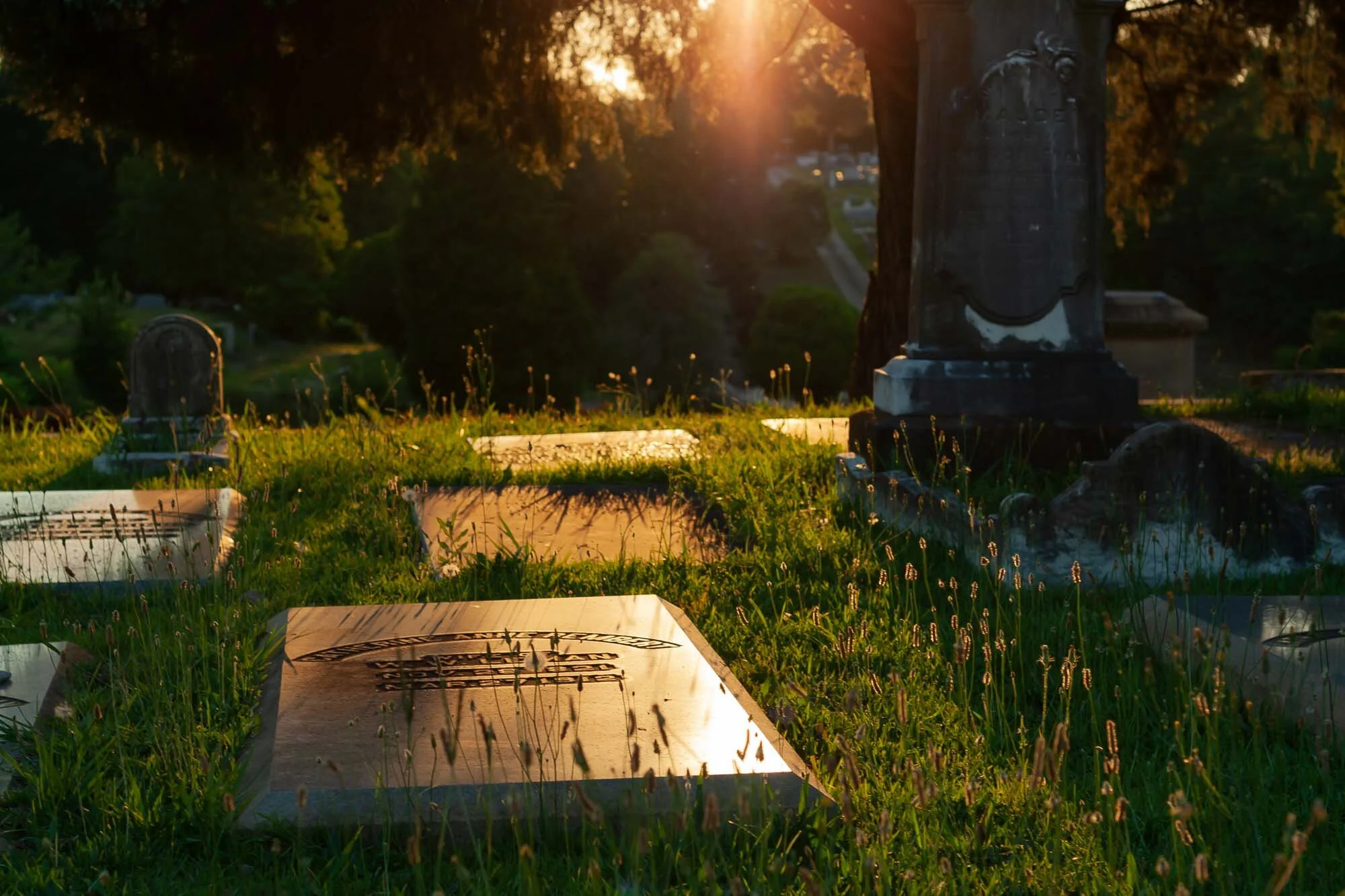 Golden Grave

For a brief moment, light from a vibrant orange sunset breaks through the trees to illuminate the life and warmth present in a location typically associated with neither.