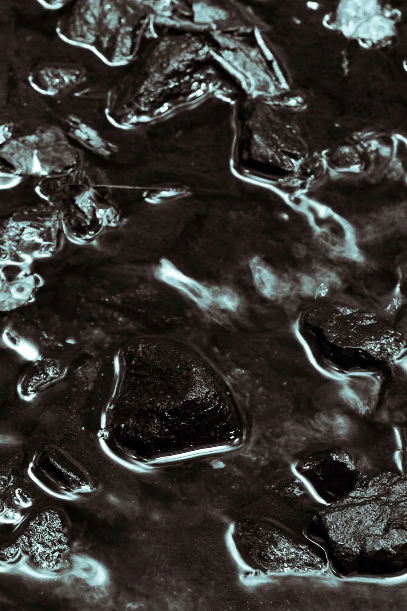 7DR_1002.jpg