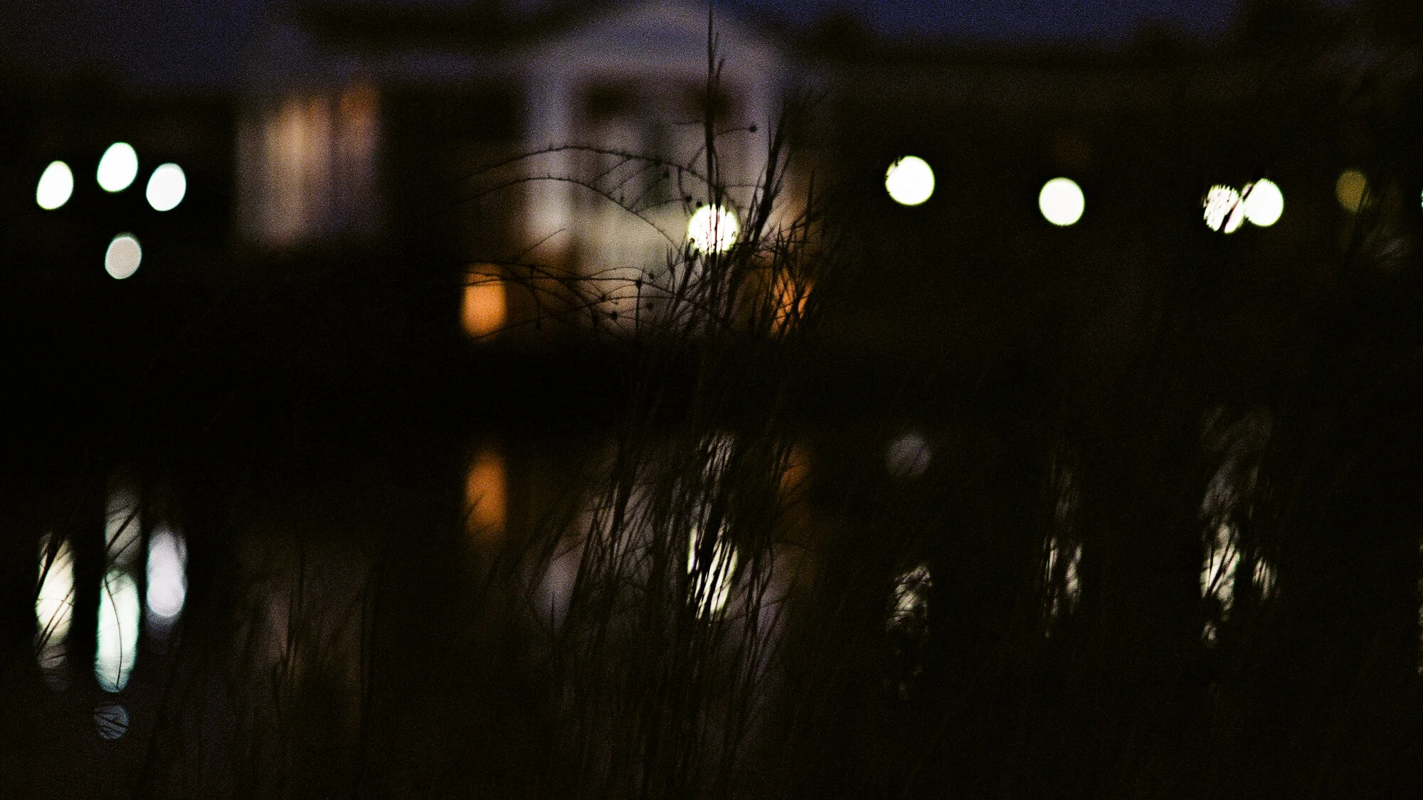 Overgrowth