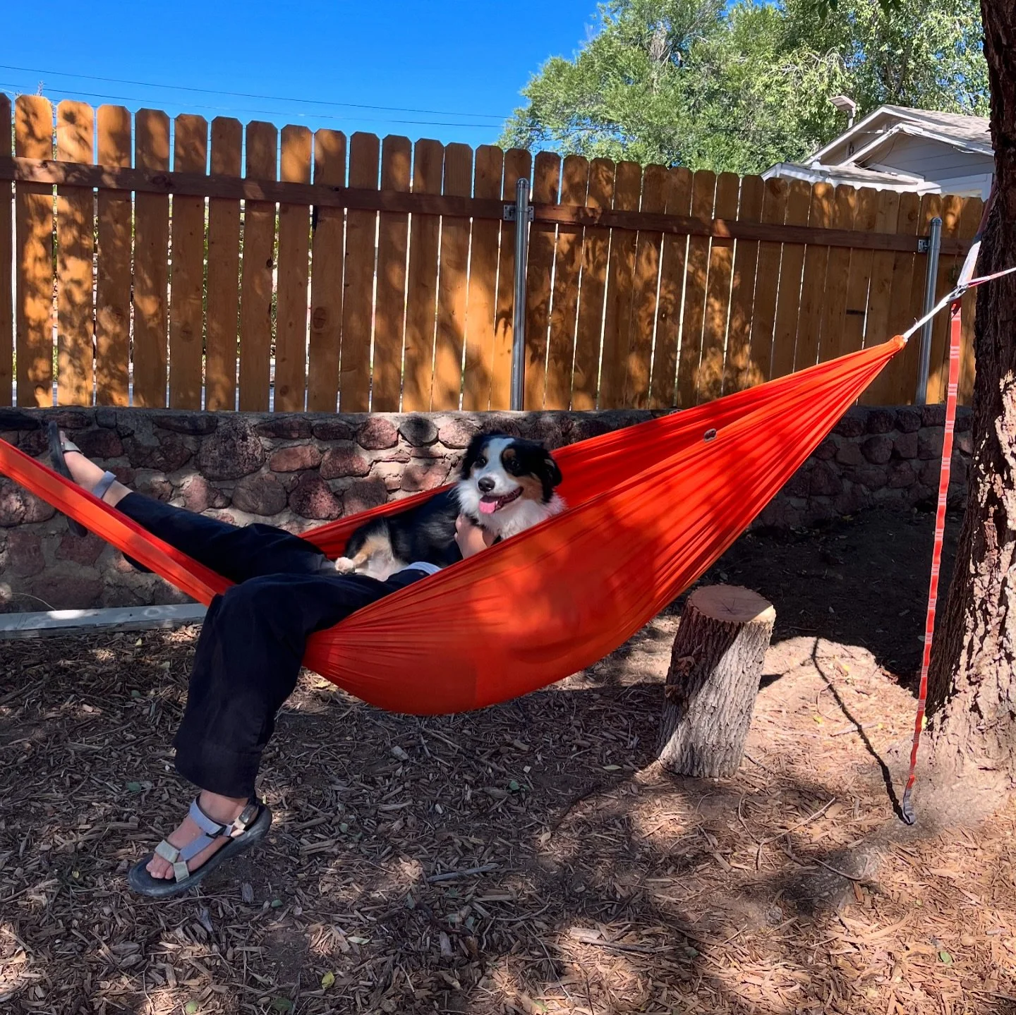 getting the house ready for the holidays