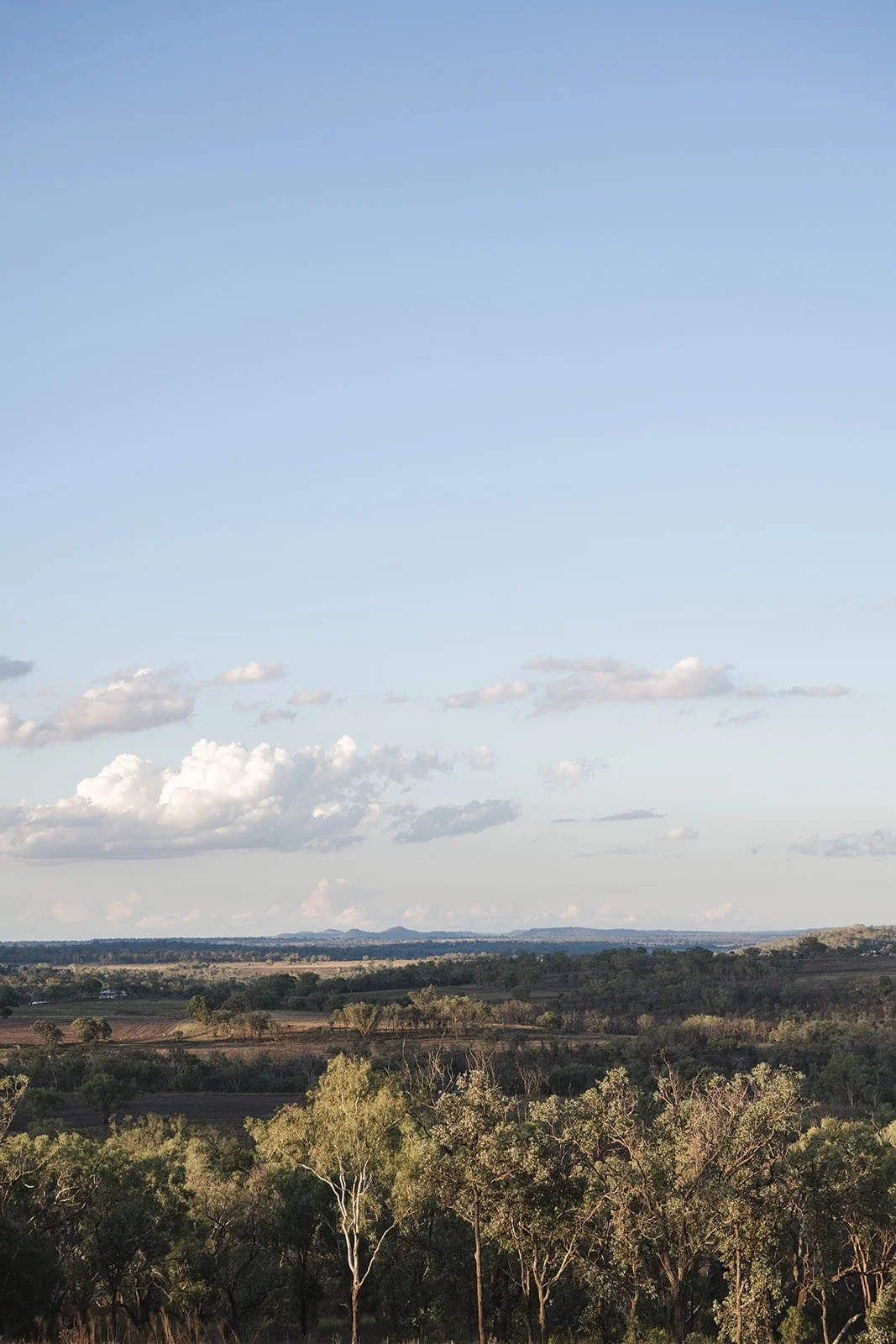 Angela-Smith-Interiors-Springdale-Farmhouse-49