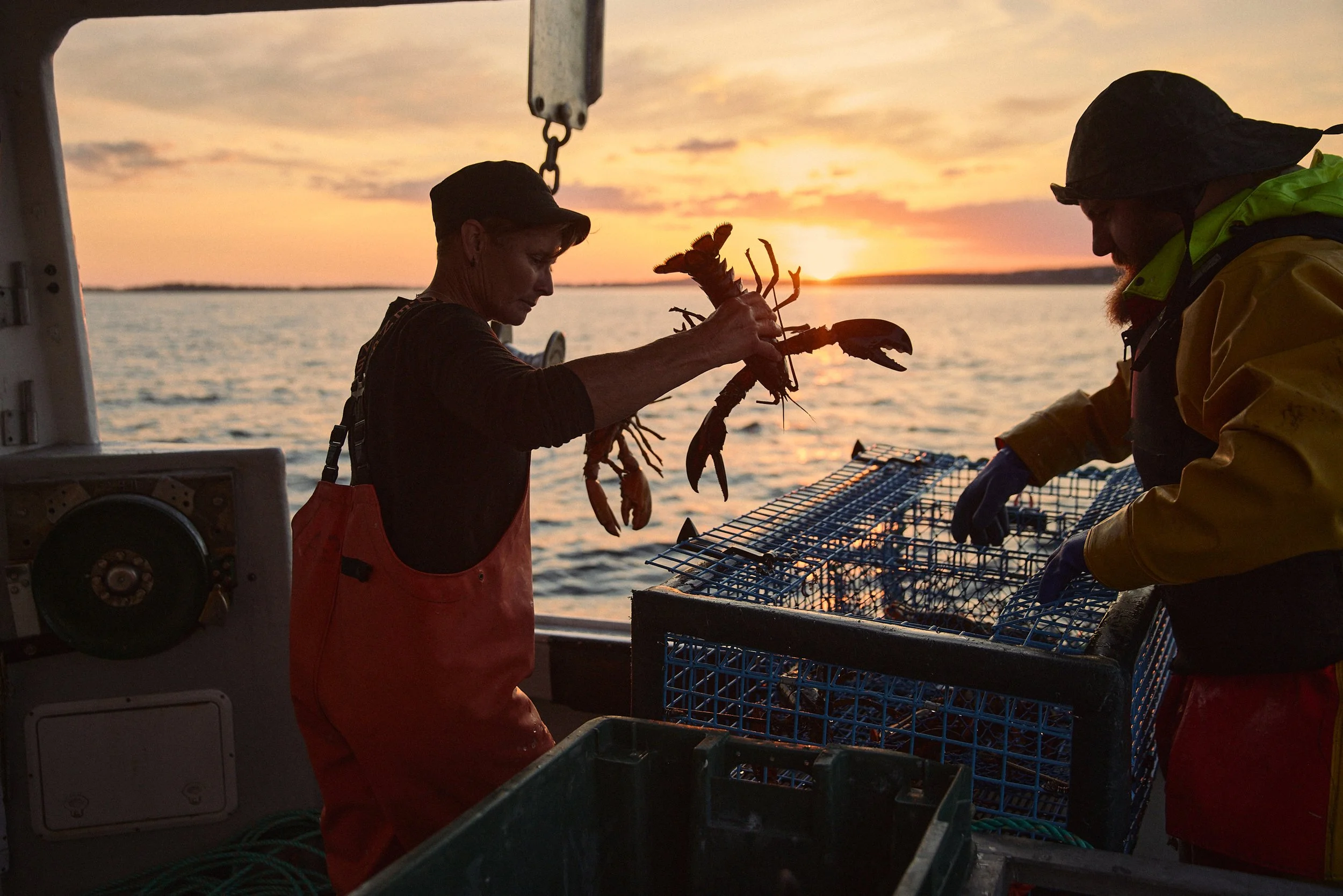 Web Res_241021_WDYMTY_Gail Atkinson_ChristianTisdalePhotography_CTP_1483.jpg