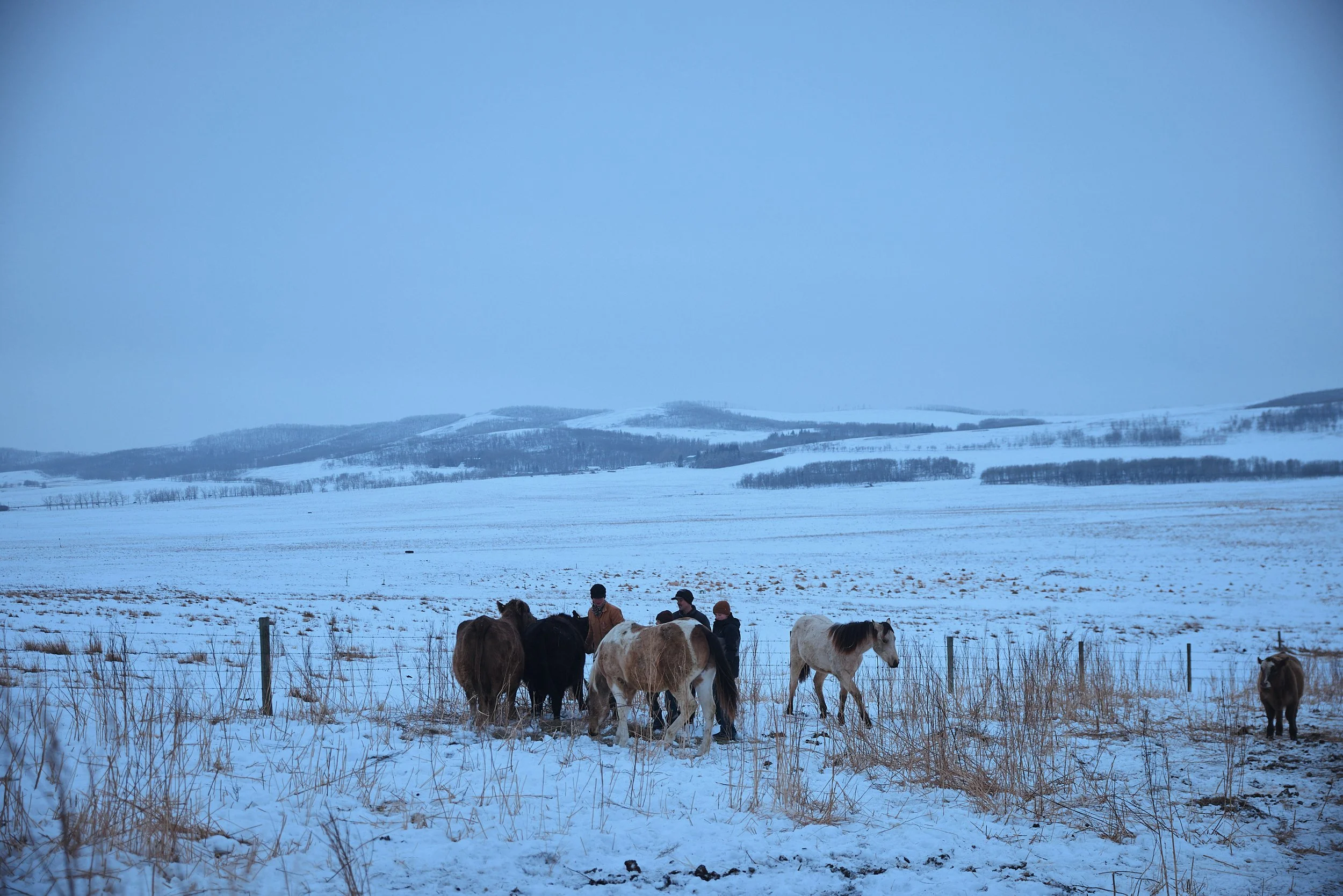 WebRes_251211_Christian Tisdale Photography_E3_Lithium_Calgary_CTP_9607.jpg