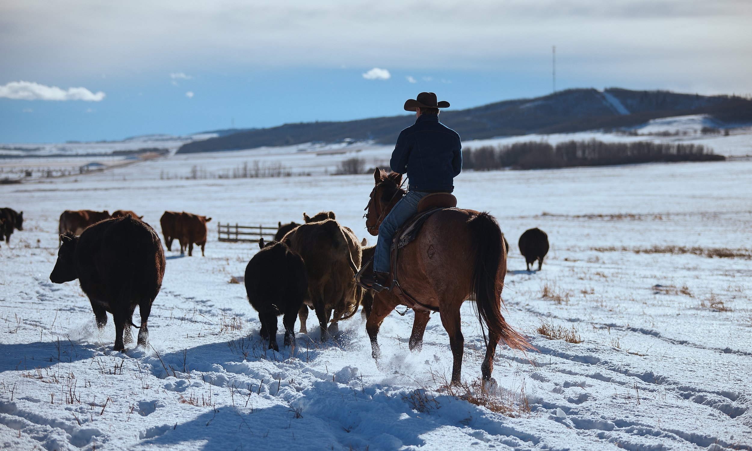 WebRes_251210_Christian Tisdale Photography_E3_Lithium_Calgary_CTP_9270.jpg