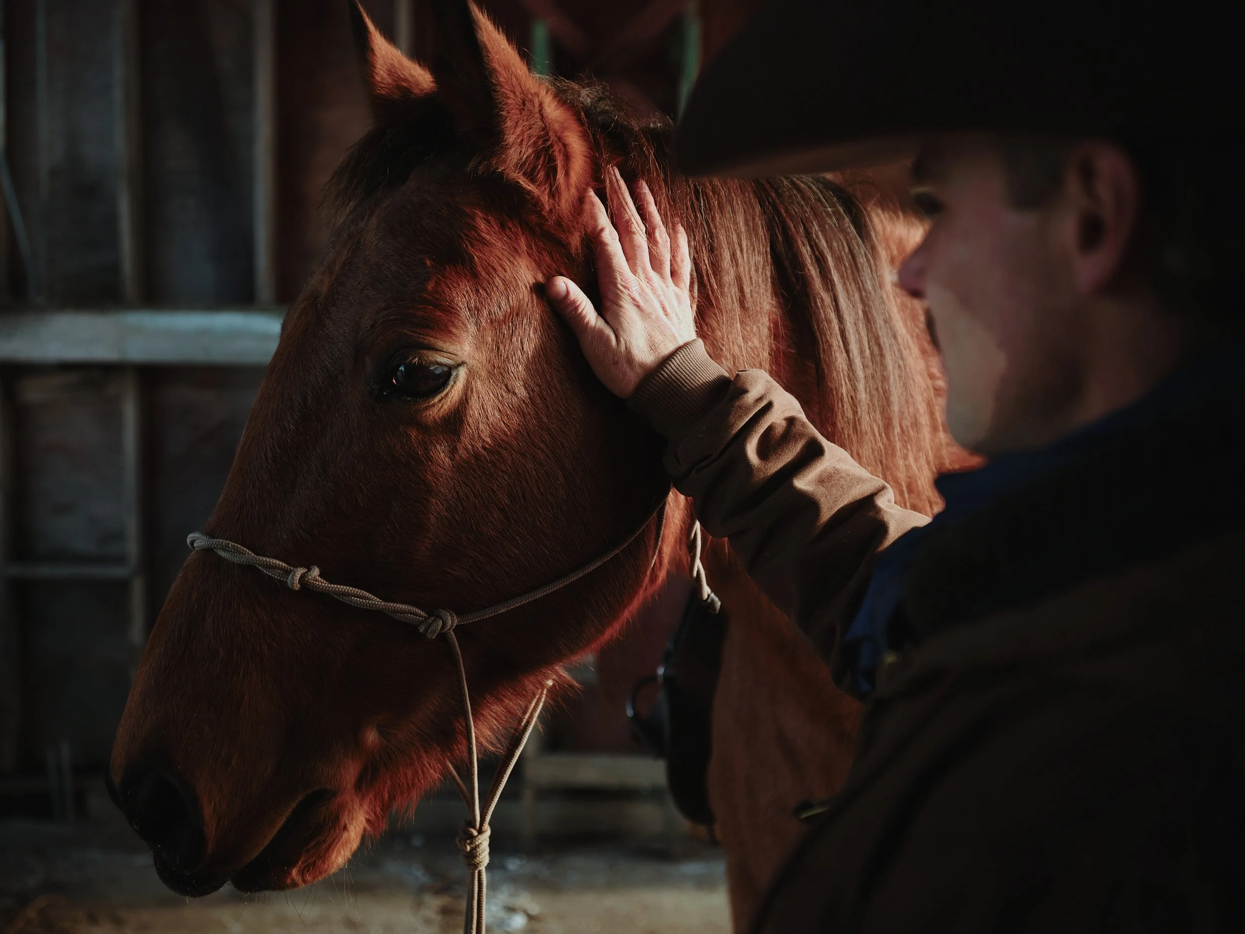 WebRes_251210_Christian Tisdale Photography_E3_Lithium_Calgary_CTPX3454.jpg