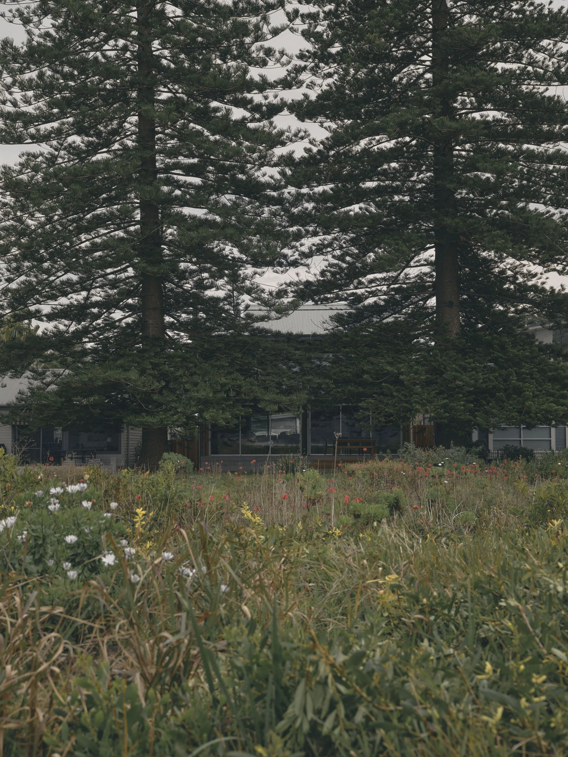 MartinSiegner_CBA_Patonga-Beach_32_WEB.jpg
