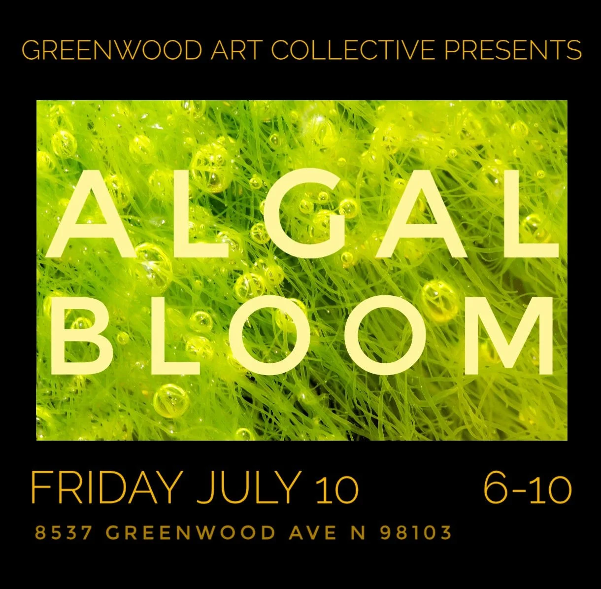 ALGAL BLOOM