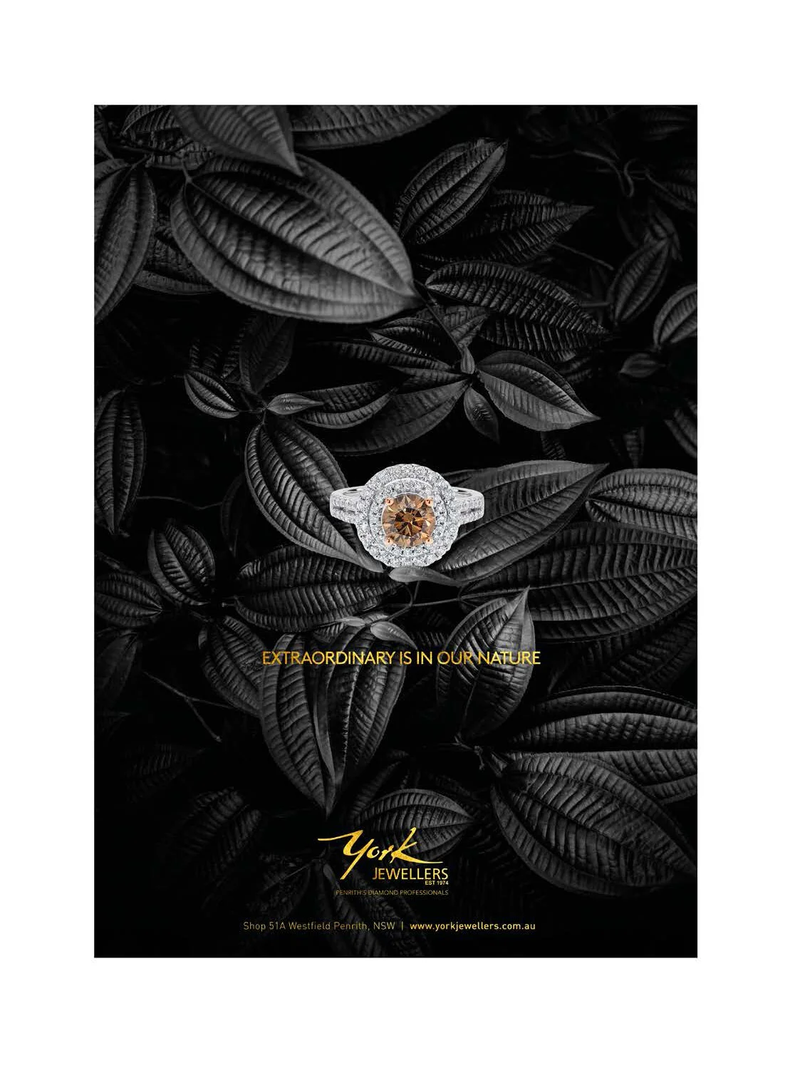 JOS WORK SAMPLES_Page_58.jpg