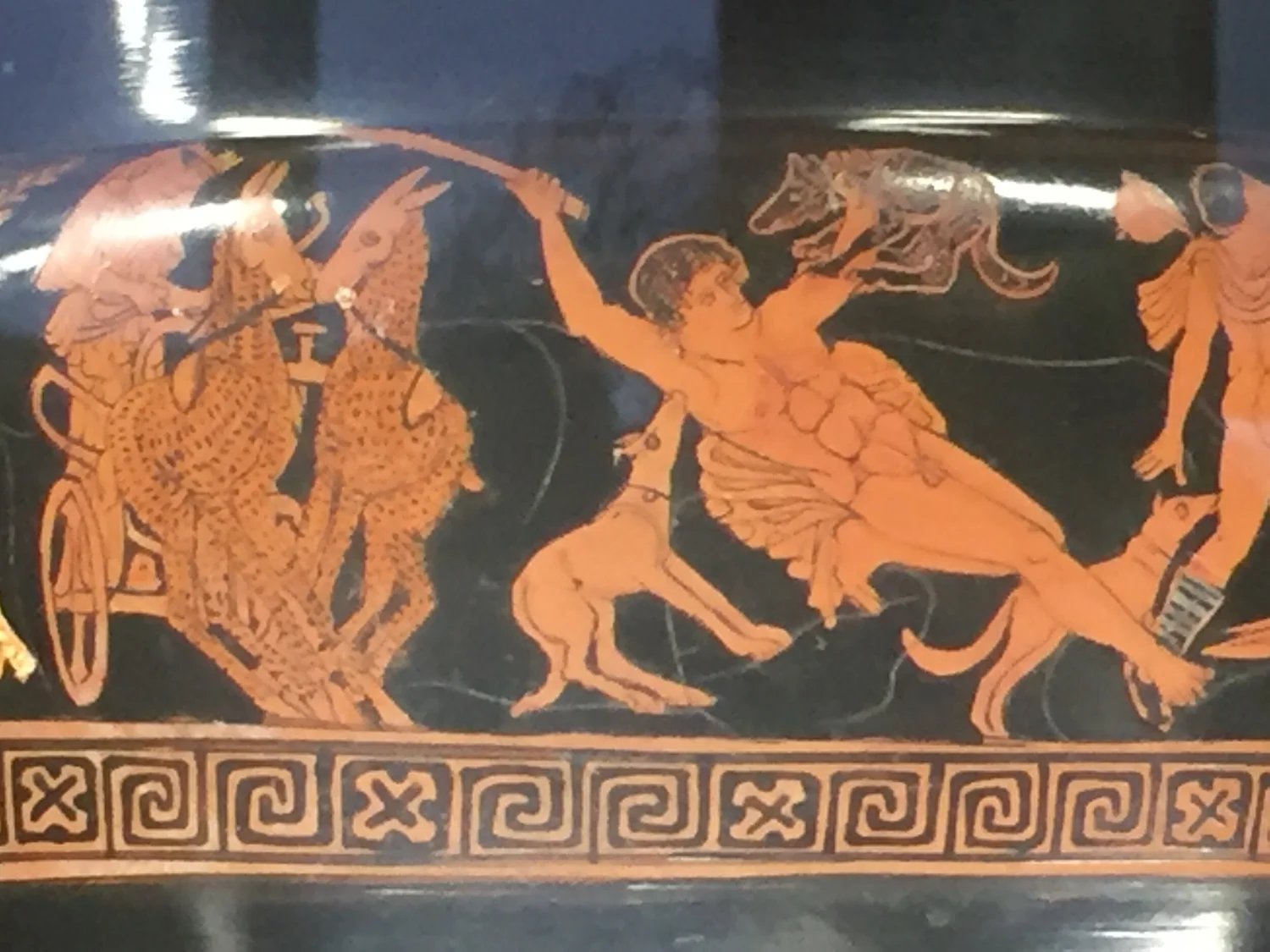 Episode 4: The World Is Out To Get You, Human