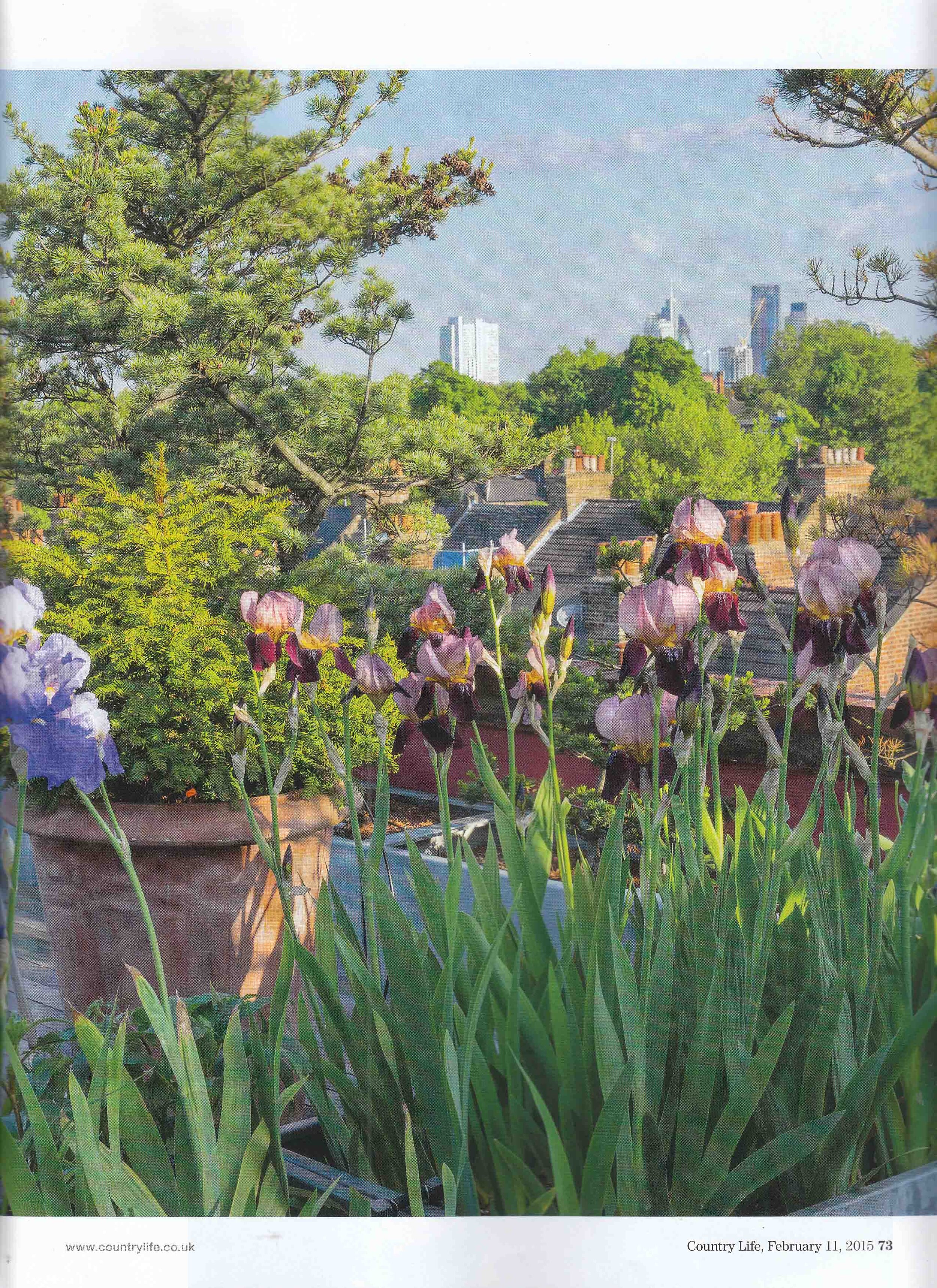 Country life - February 11th 2015 p73.jpg