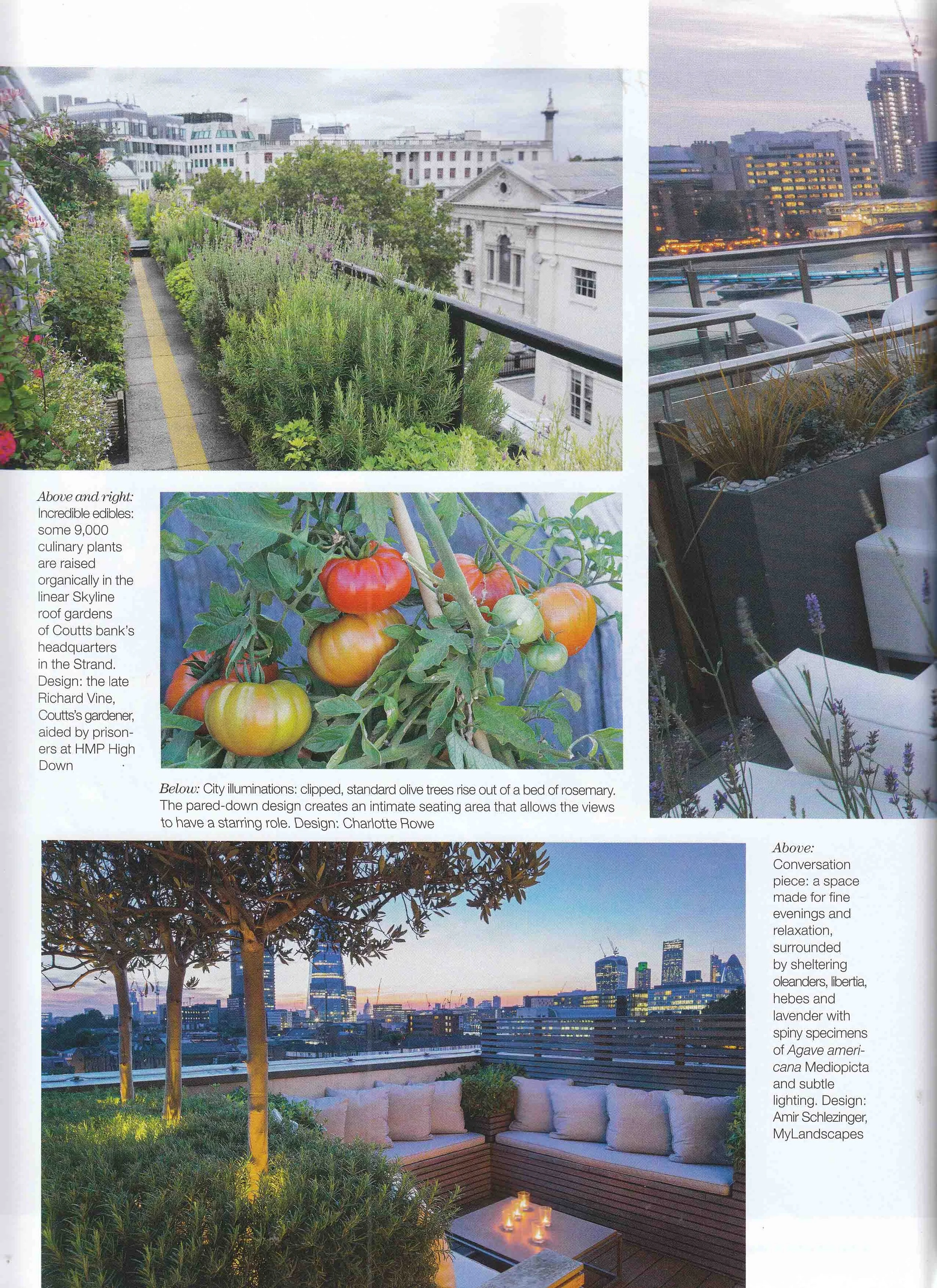 Country life - February 11th 2015 p74.jpg