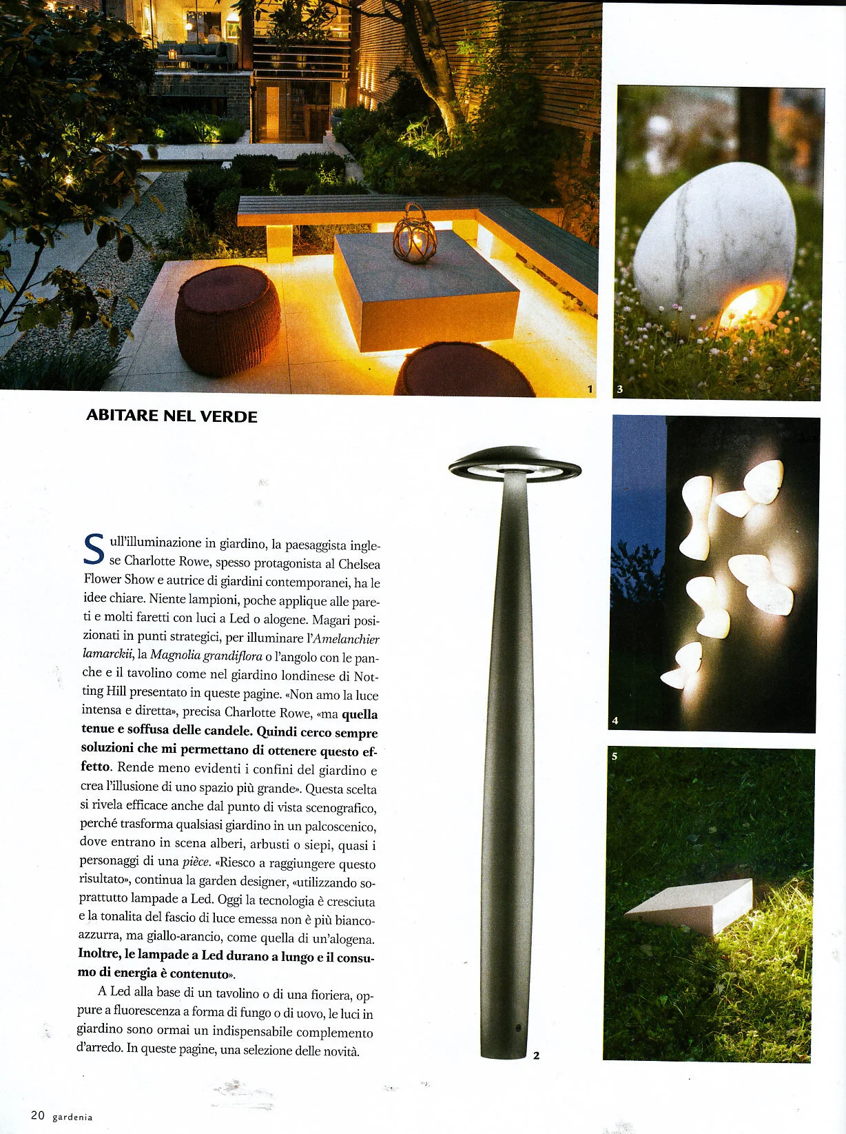 Gardenia - Charlotte Rowe - January  2013 - 4.jpg