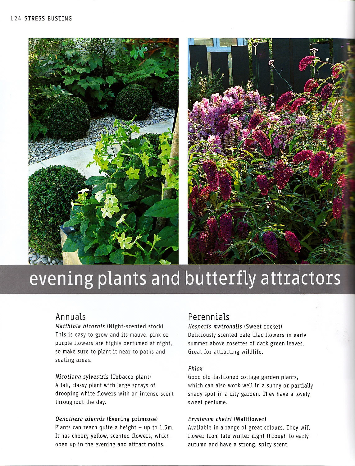 Joe's urban garden handbook_0016.jpg