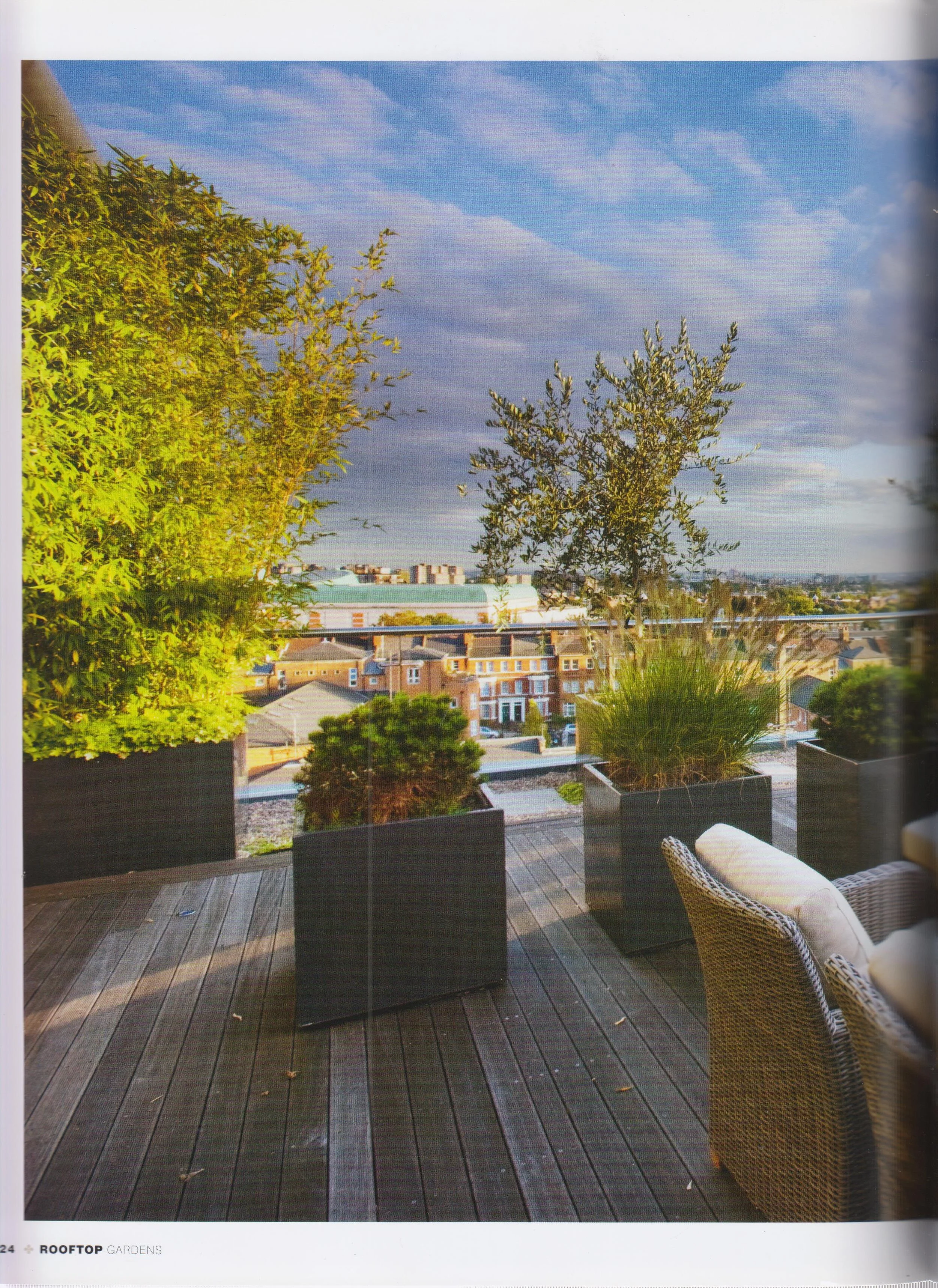 Rooftop Gardens p. 124.jpg