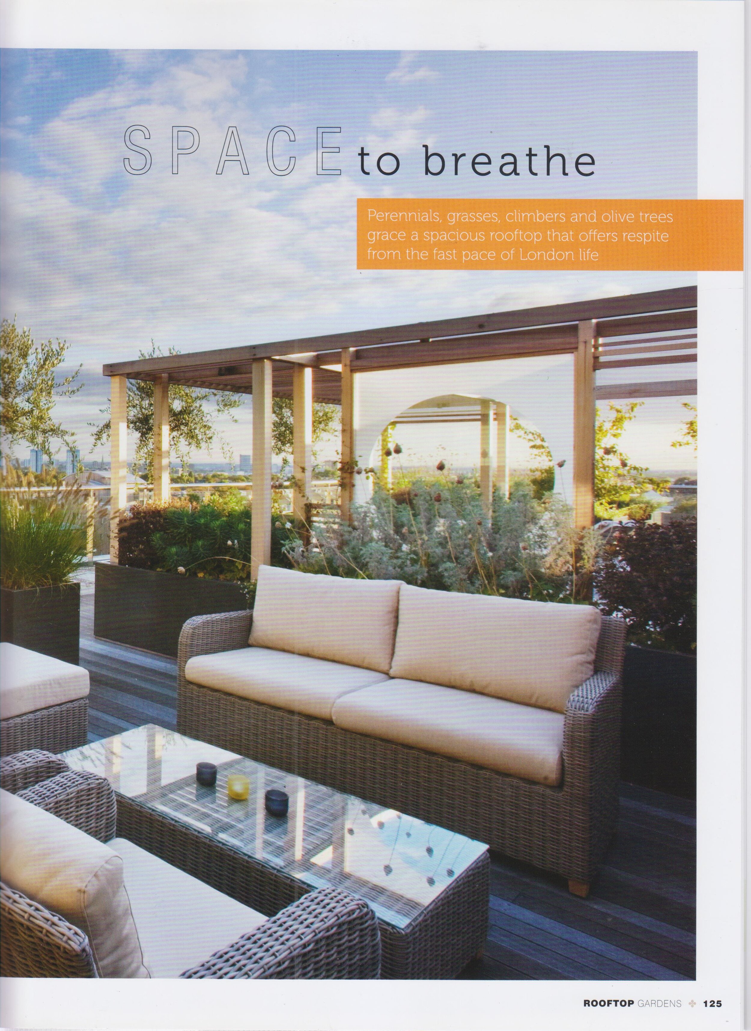 Rooftop Gardens p. 125.jpg