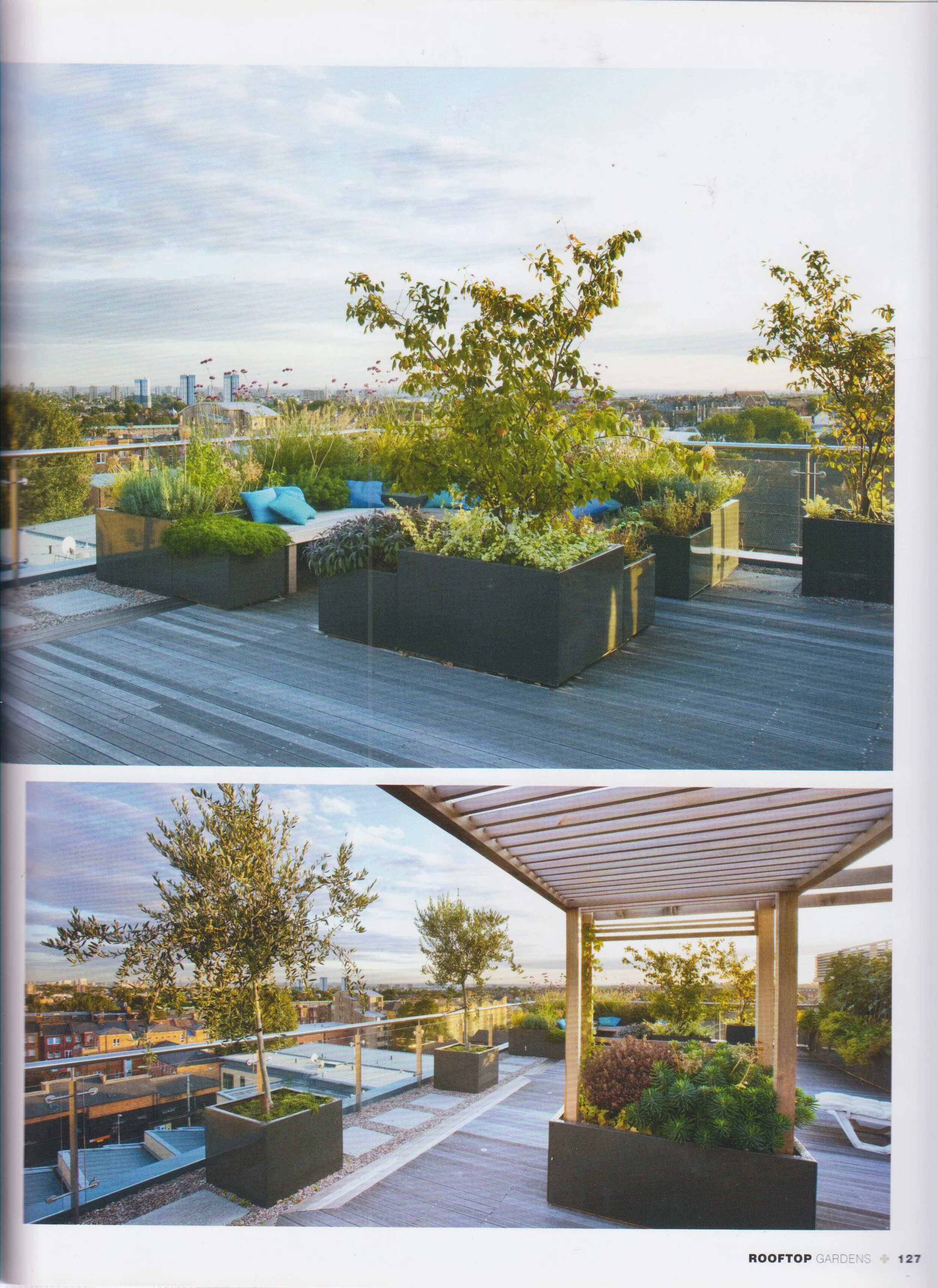 Rooftop Gardens p. 127.jpg