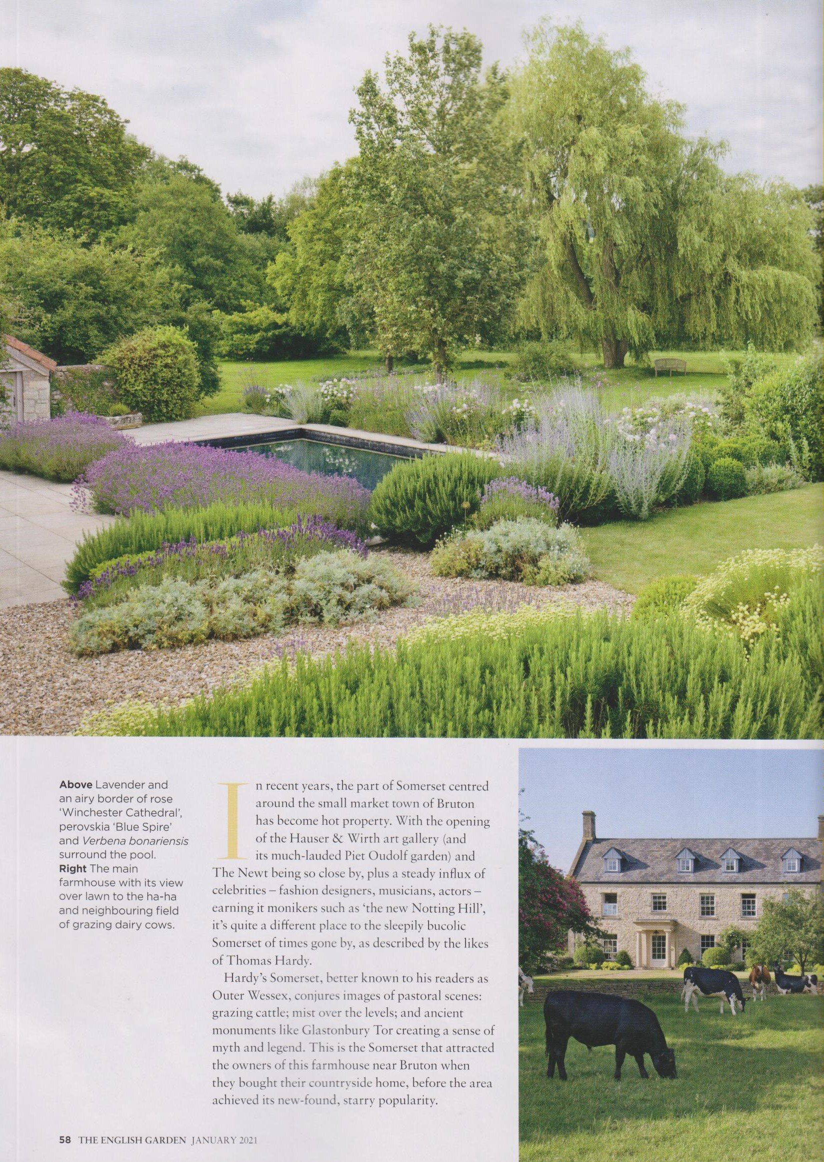 The English Garden January 2021 3 001.jpg