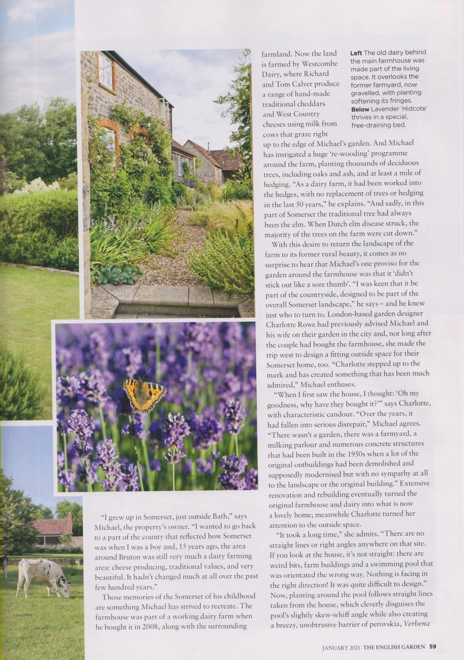 The English Garden January 2021 4 001.jpg