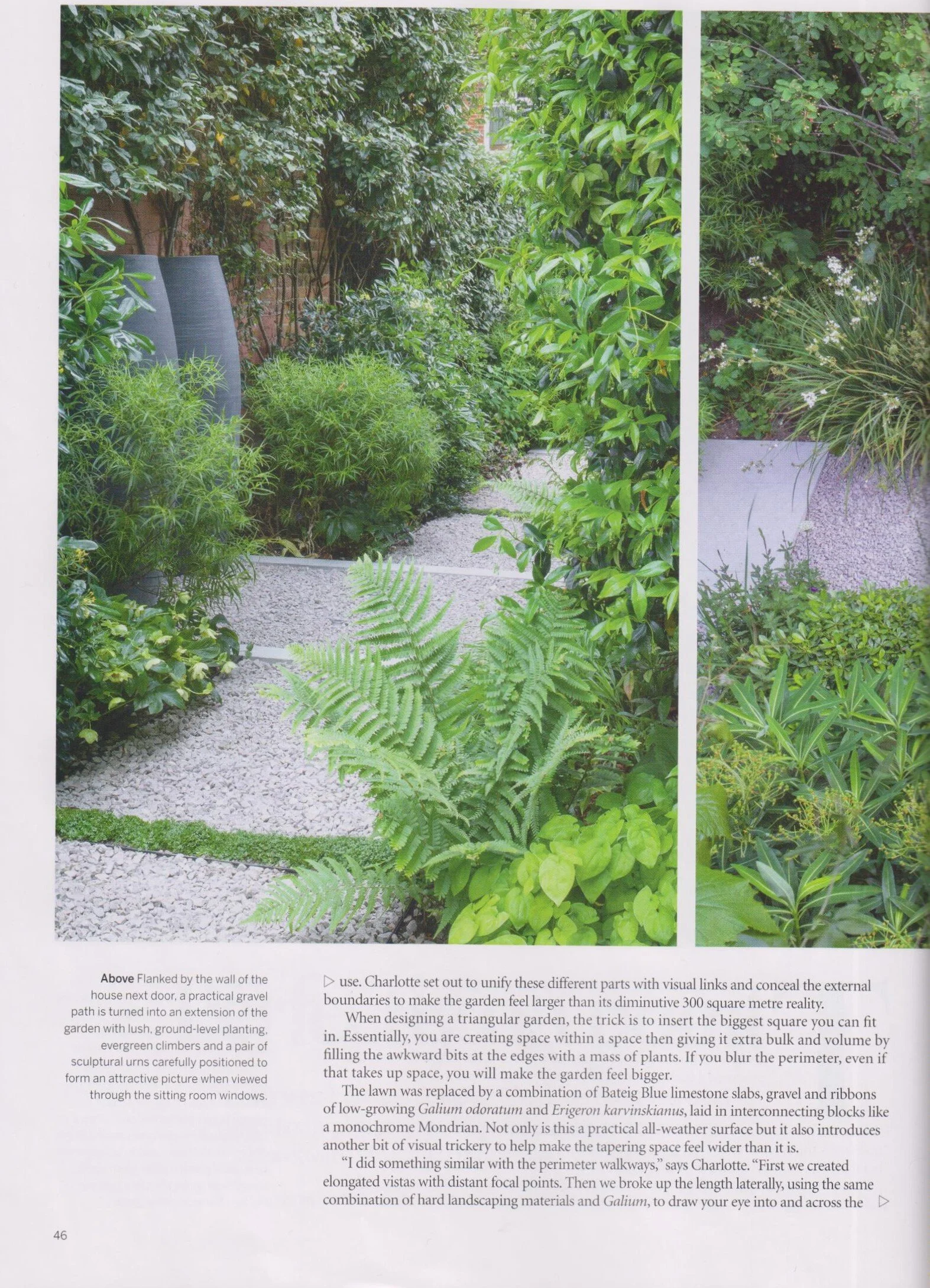 Gardens Illustrated January 2021 003.jpg