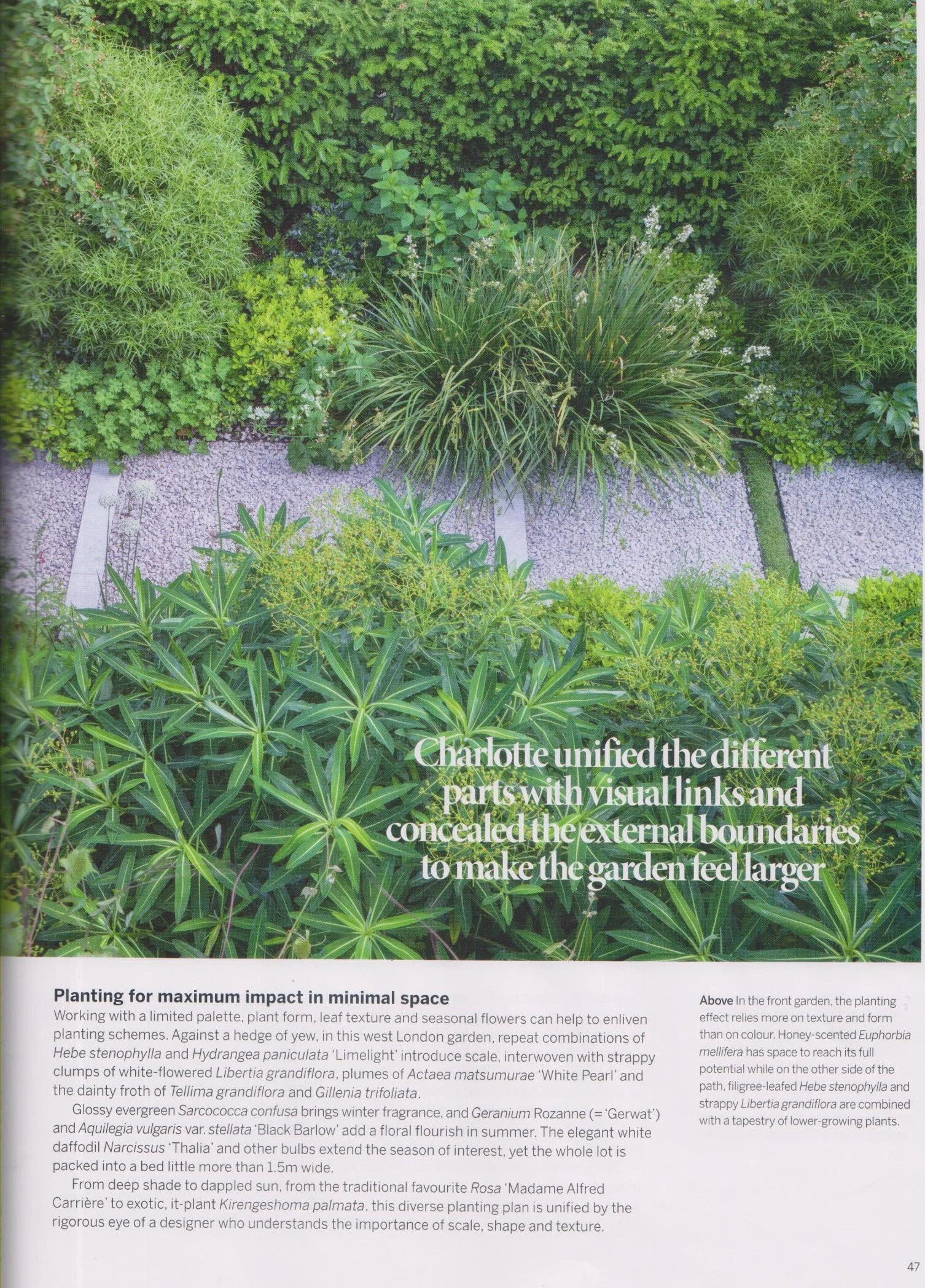 Gardens Illustrated January 2021 004.jpg