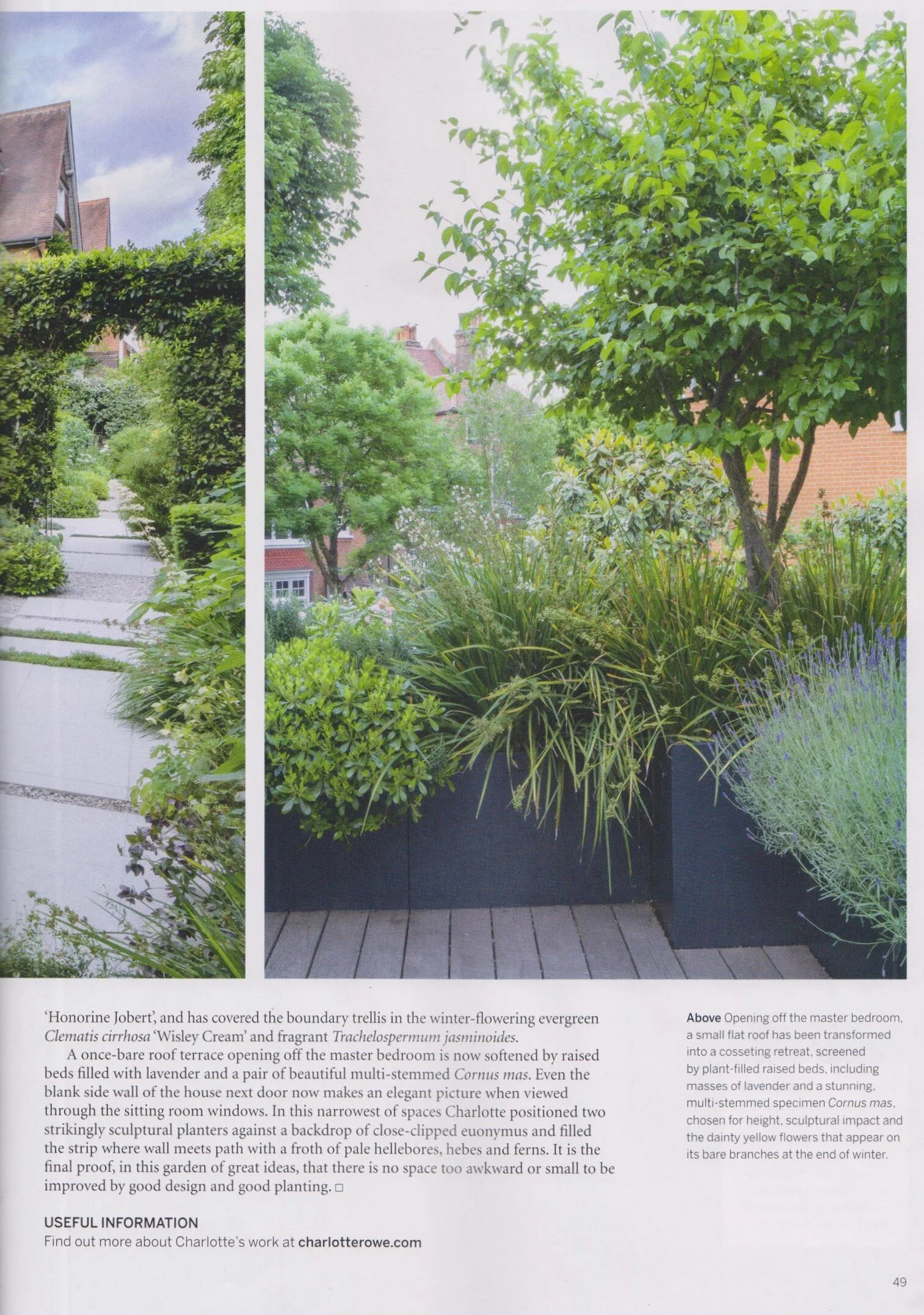 Gardens Illustrated January 2021 006.jpg