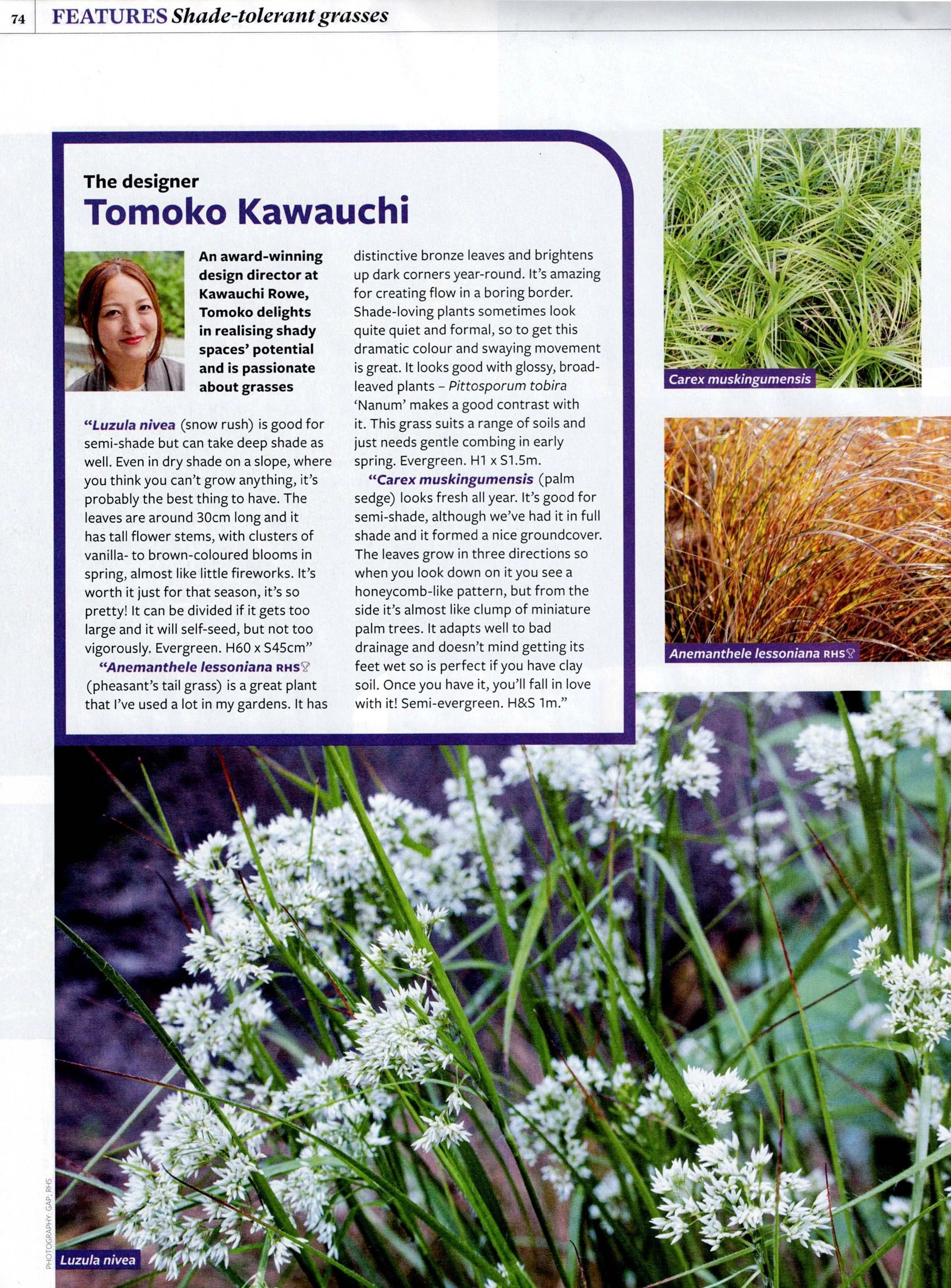 tomoko-kawauchi-the-garden-august-2026-shade-tolerant-grasses.jpg