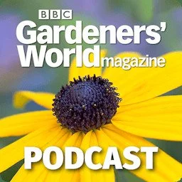 The art of creating calm in your garden