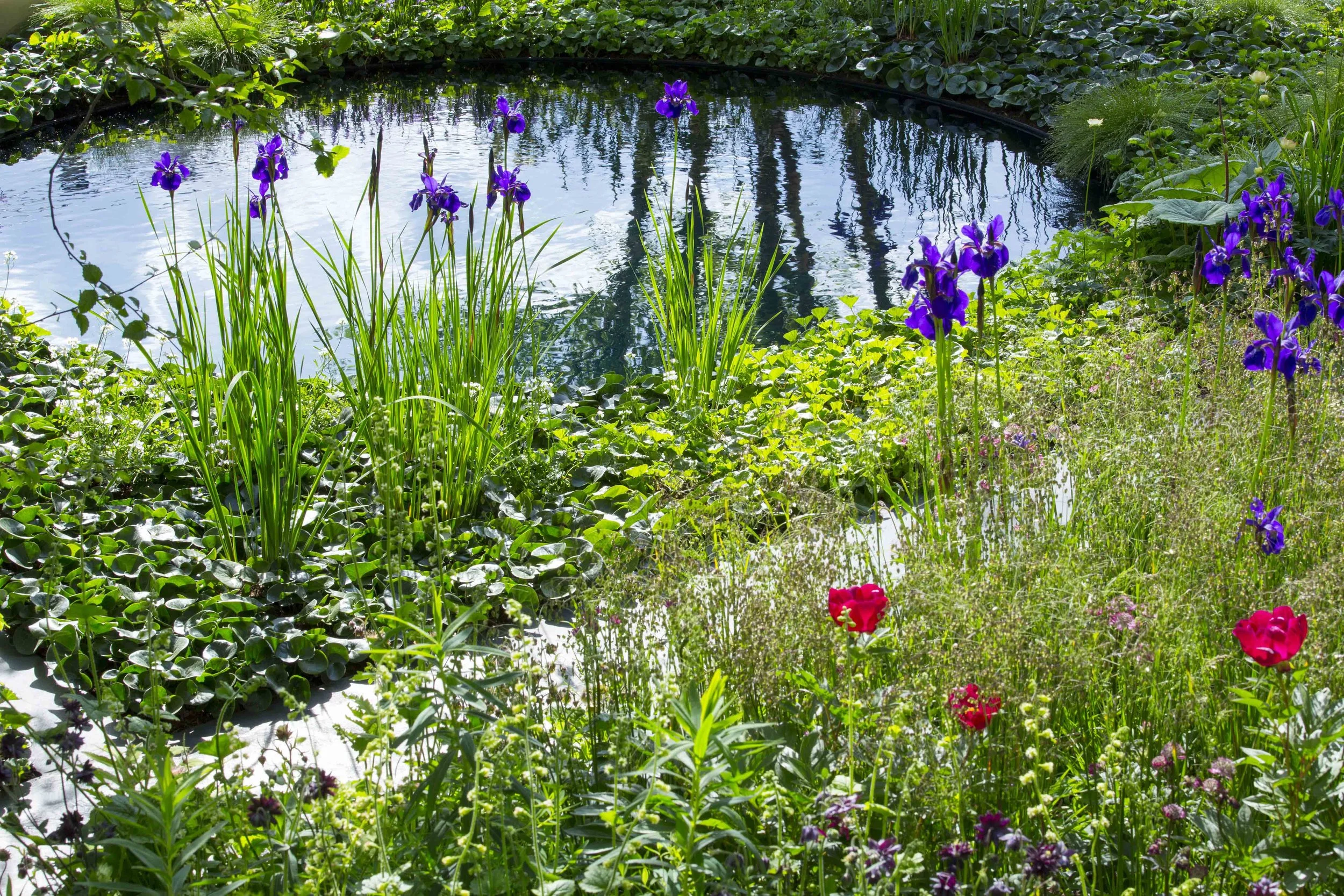 'No Man's Land' RHS Chelsea Flower Show 2014 Gold medal garden by Charlotte Rowe
