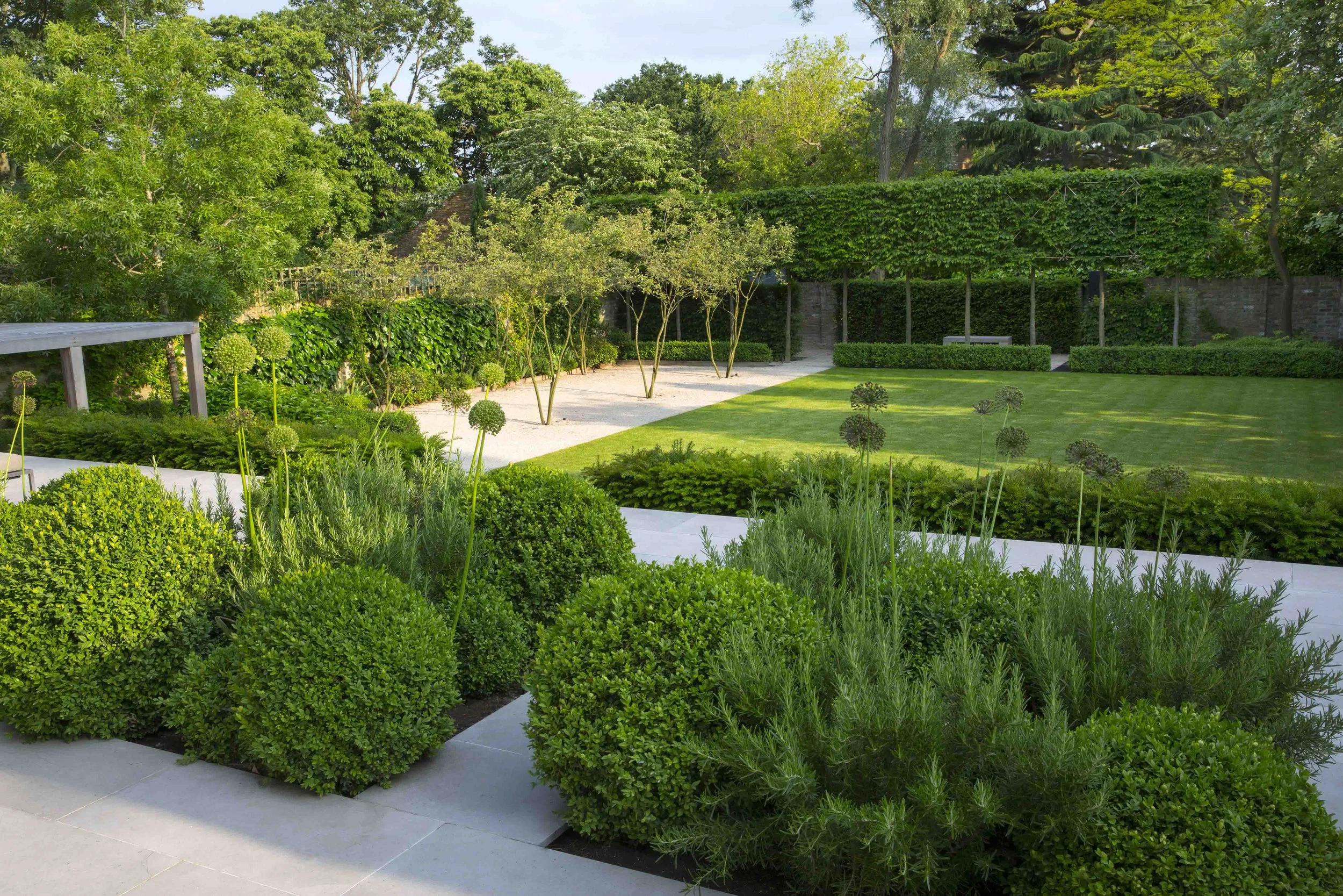 Wimbledon West London town garden designed by Kawauchi Rowe