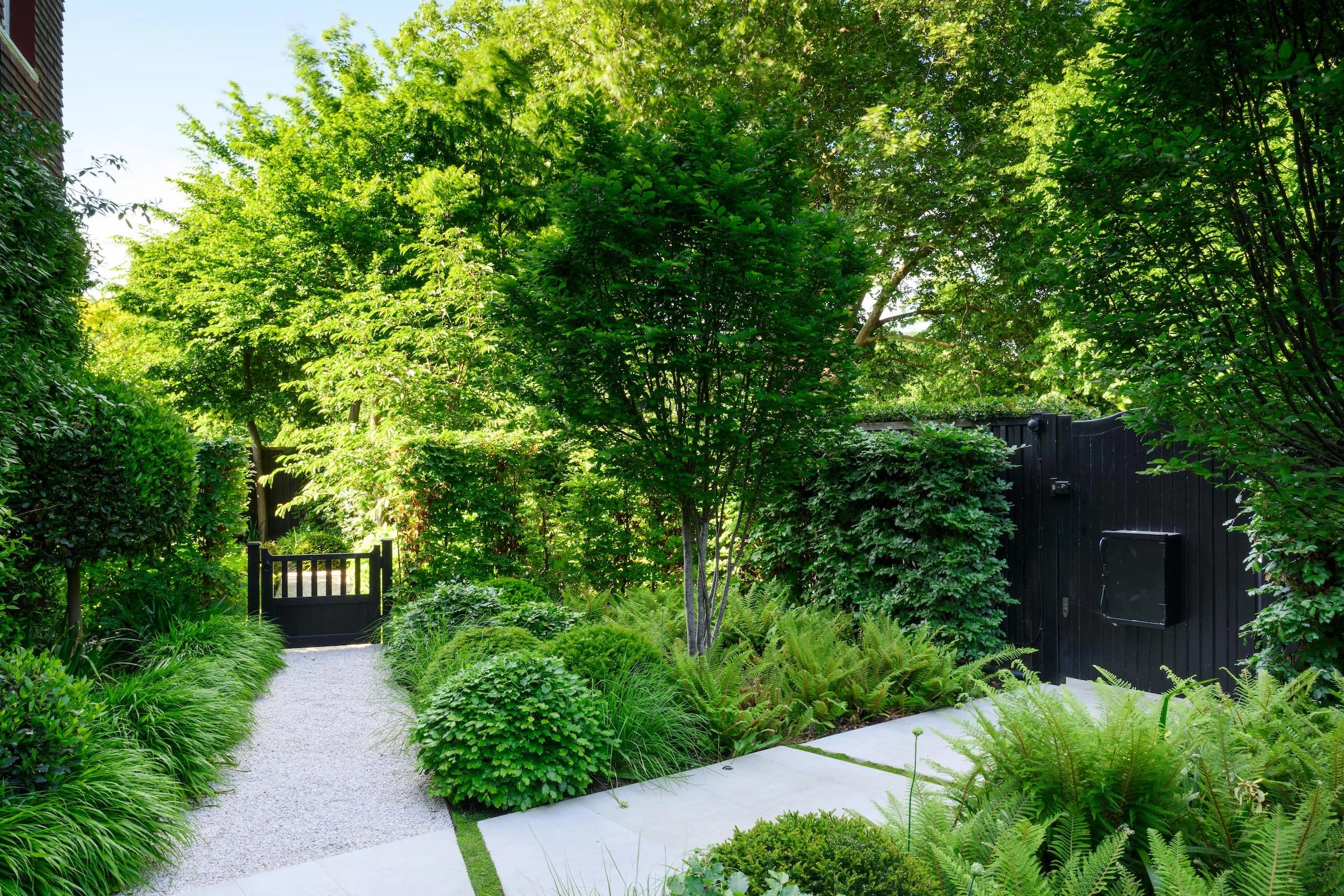 Front garden with limestone stepping stones and shade-tolerant planting in Putney