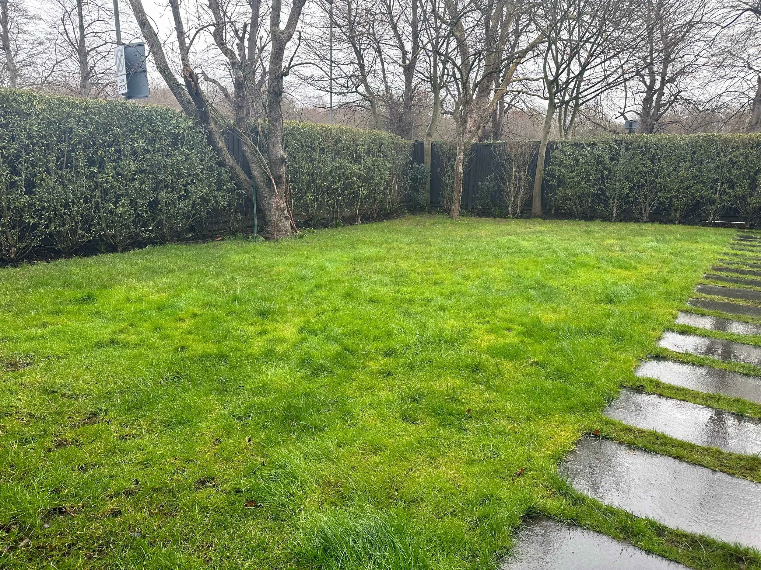 Side garden in Putney before redesign with original lawn and stepping stones