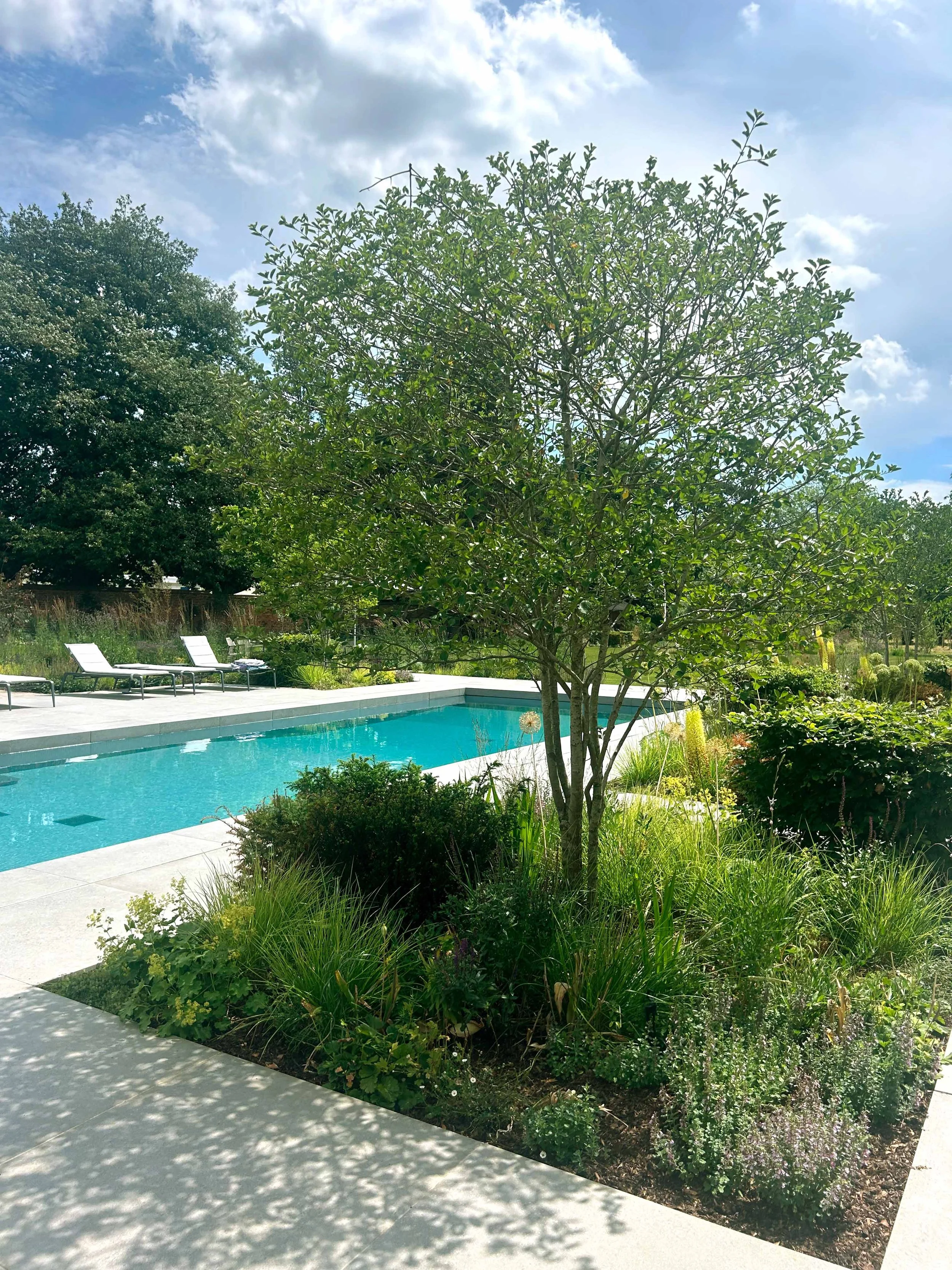 Thicket House_13 07 03_copyright Charlotte Rowe high res rev.jpg