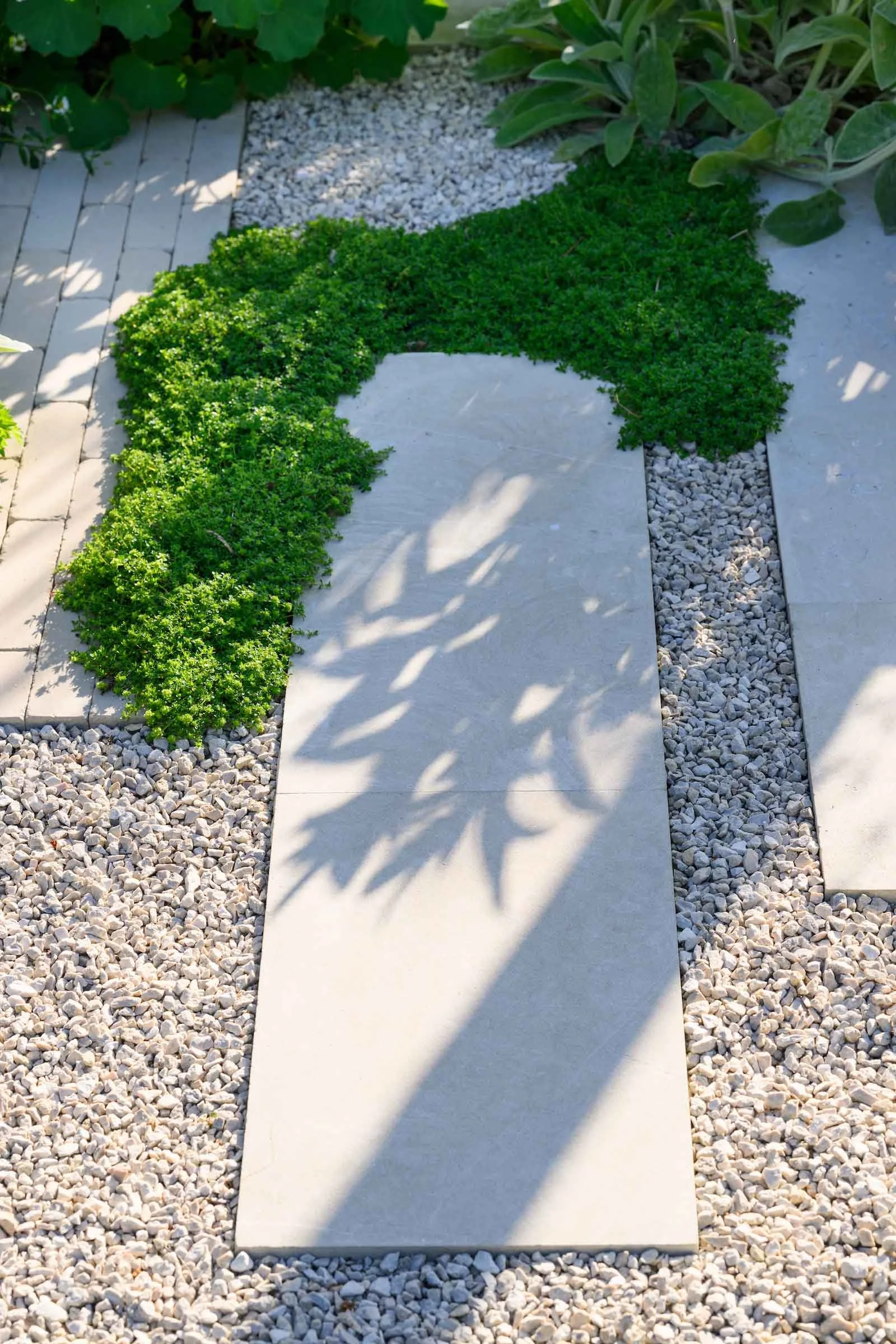Limestone paving with gravel rills and low ground cover planting in a Putney garden by Kawauchi Rowe