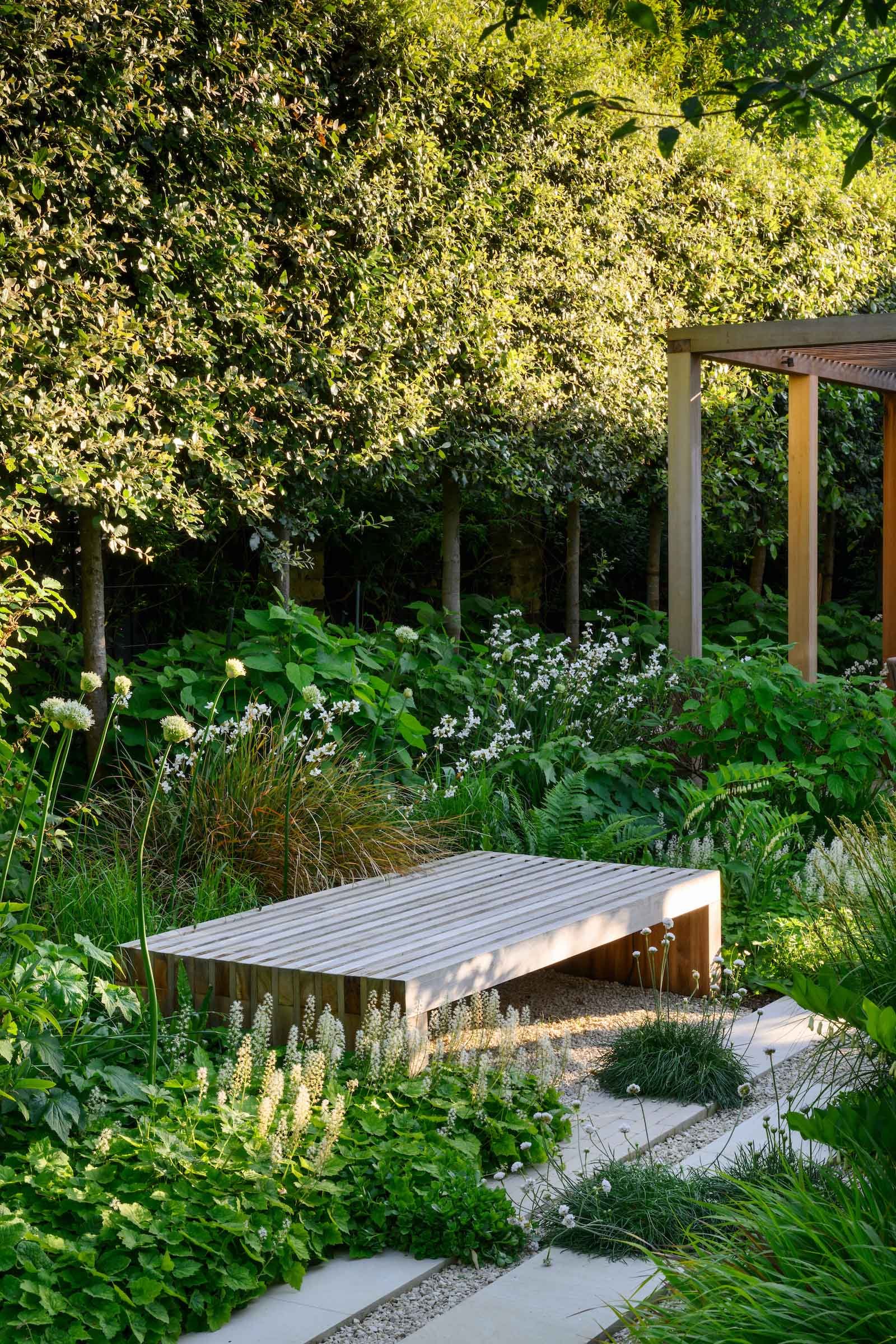 Bespoke timber bench surrounded by lush ferns and white flowering planting in a Putney garden by Kawauchi Rowe