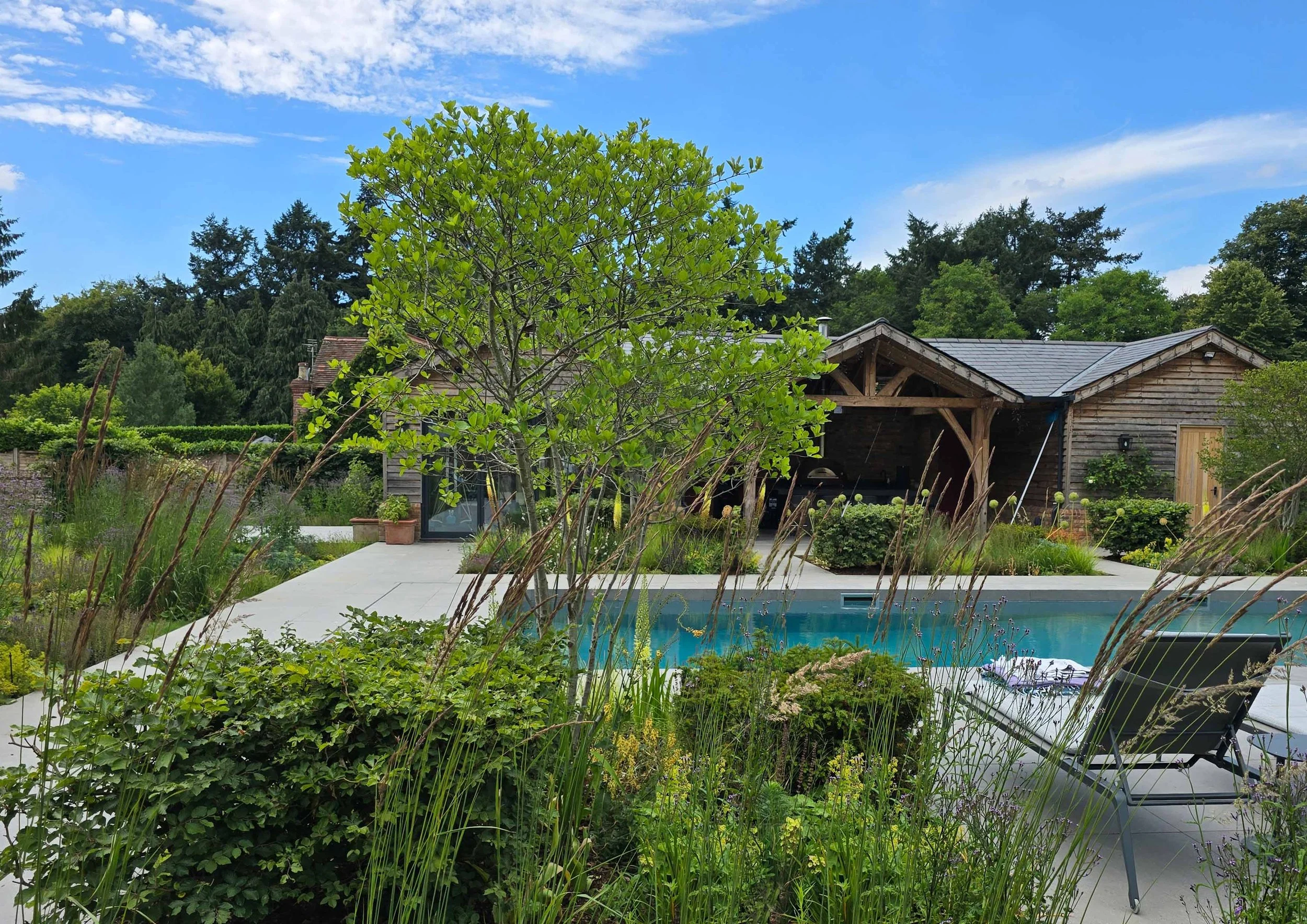 Thicket House_1000044640.1_copyright Charlotte Rowe rev.jpg