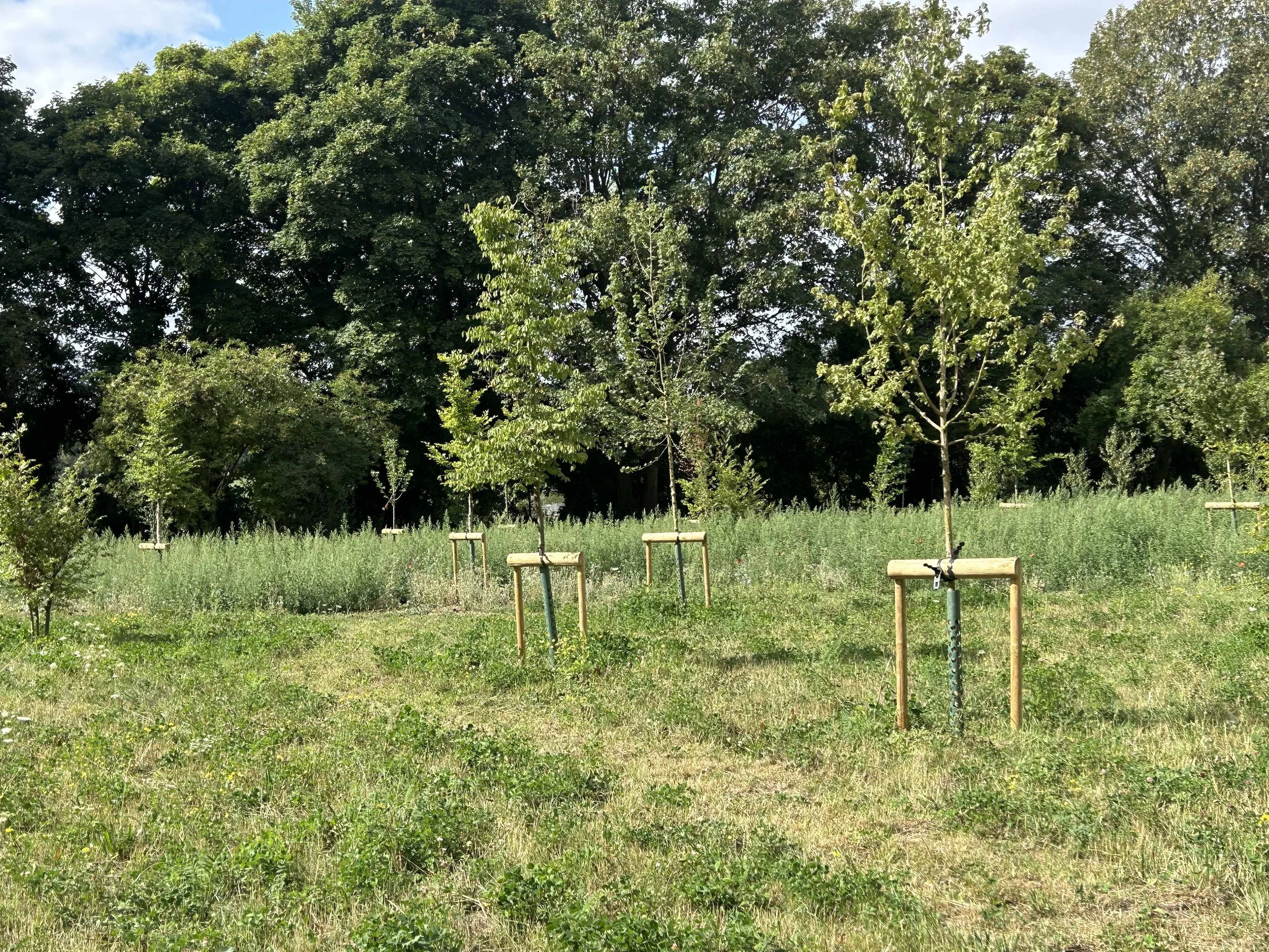 Thicket House_10 32 25_copyright Charlotte Rowe high res.jpg
