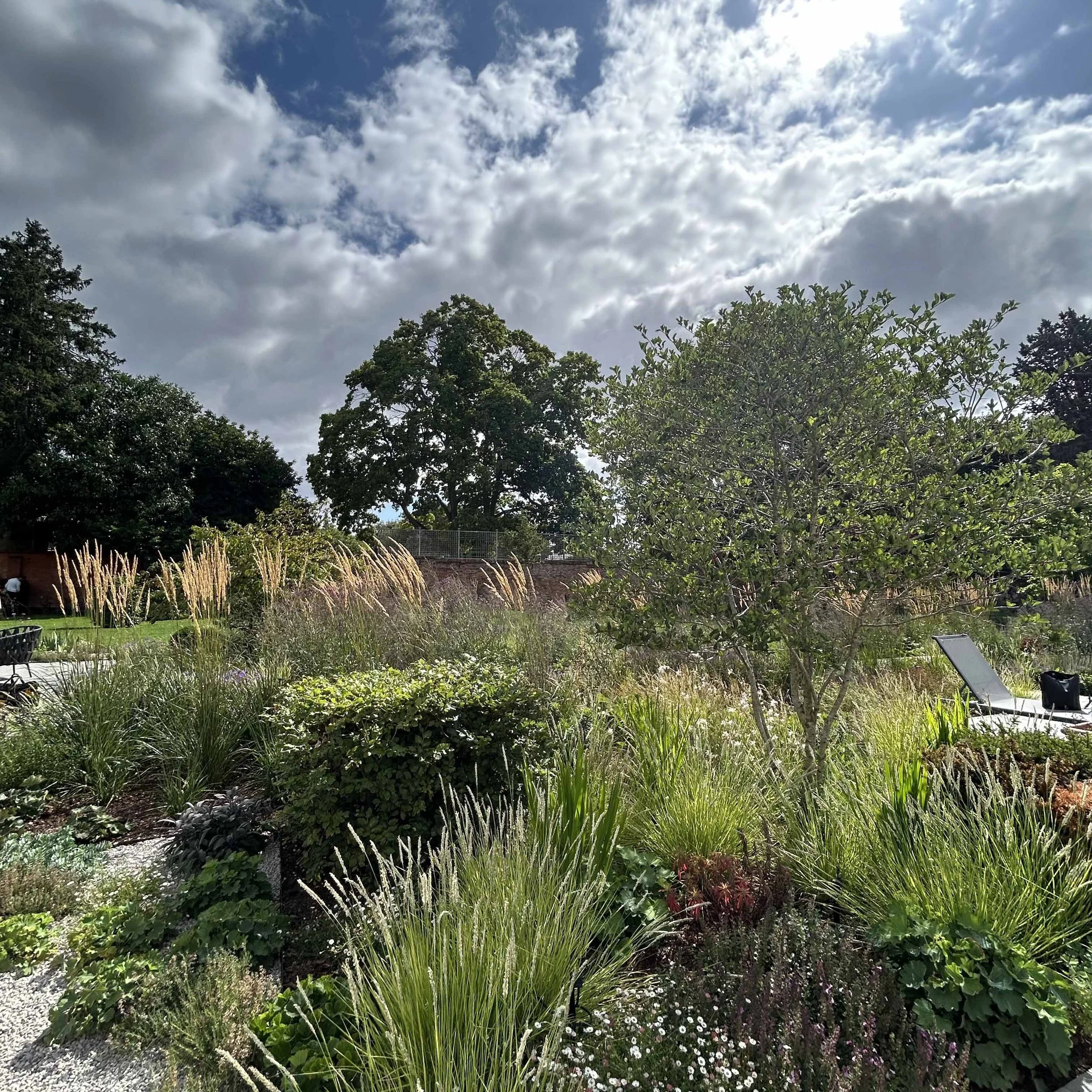 Thicket House_10 58 57_copyright Charlotte Rowe high res.jpg