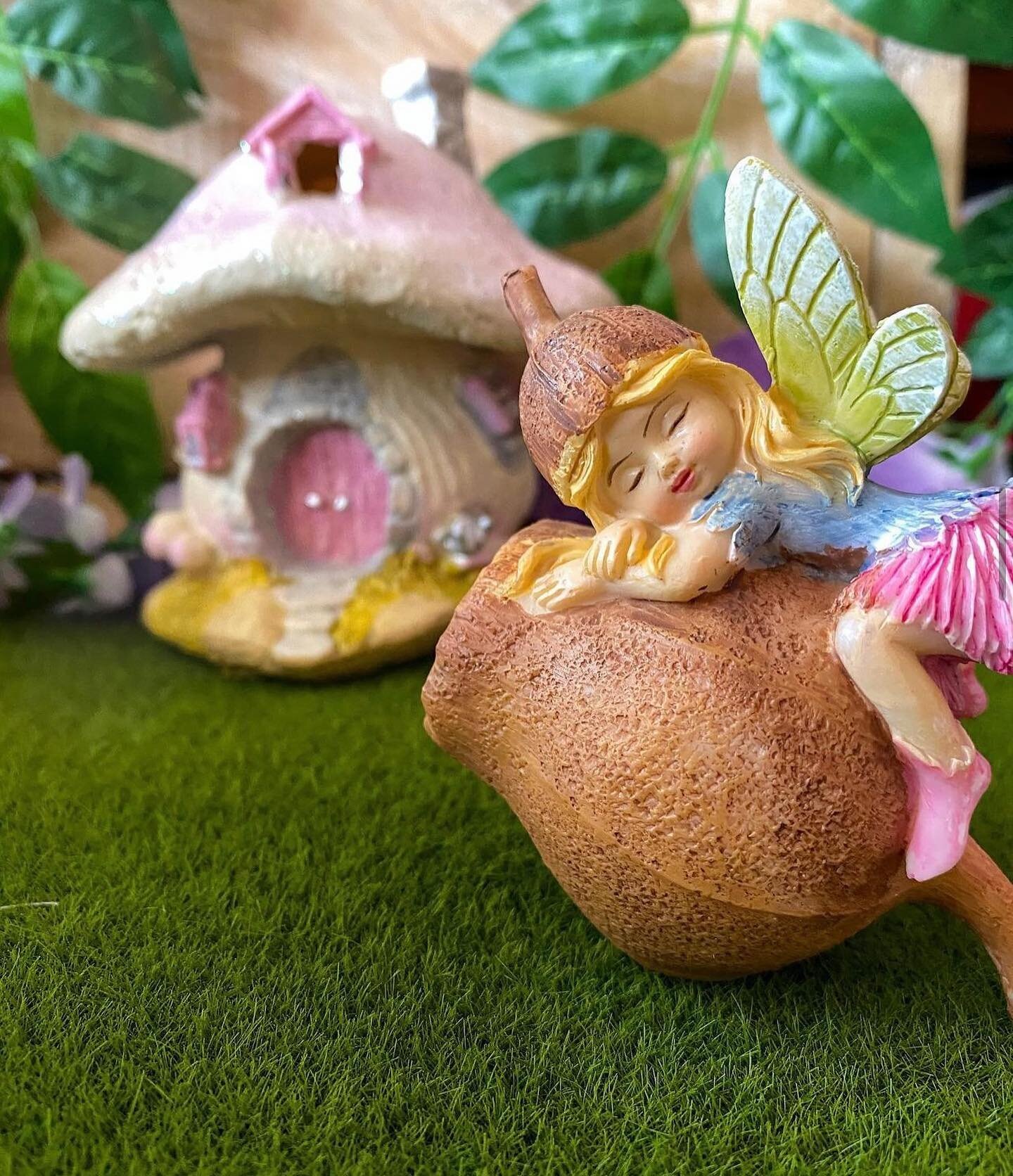 Beautiful Fairy Garden Accessories to add to your collection! The Fairies will love it 🌿✨
&bull;
&bull;
&bull;
&bull;
&bull;
#fairygarden #fairygardenaccessories #fairygardenideas #fairyhouses #fairyslide #fairyfurniture #fairypond #fairyshop #magic