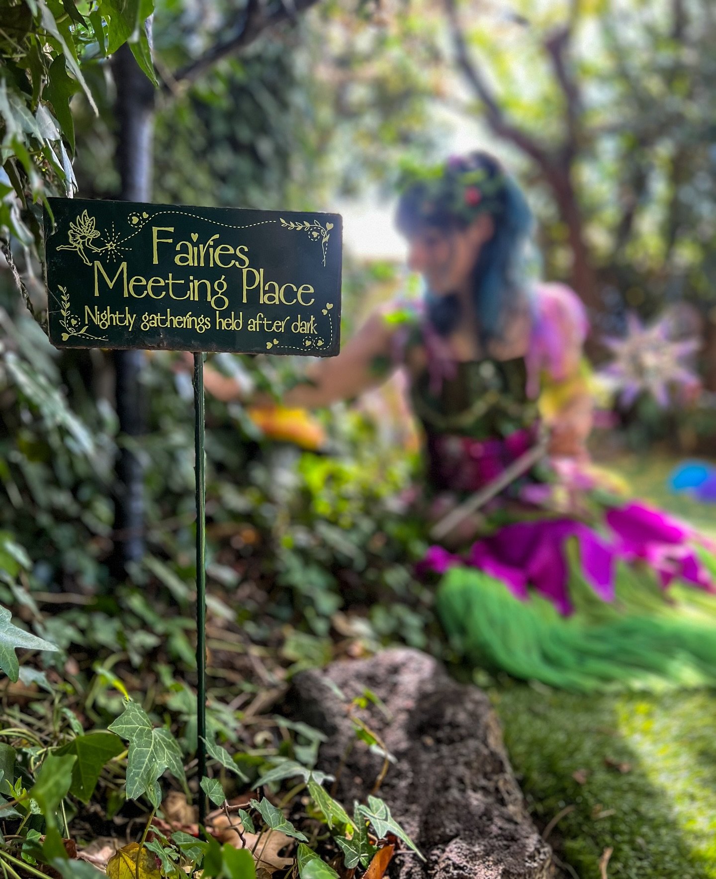 A new and very special Fairy coming soon&hellip;.🩷✨🧚 
&bull;
&bull;
&bull;
&bull;
&bull;

#fairy #fairymarigold #fairymagic #fairyland #fairywings #fairystories #fairyforest #fairygarden #magic #kidsentwrtainmenet #childrensentertainer #entertainer