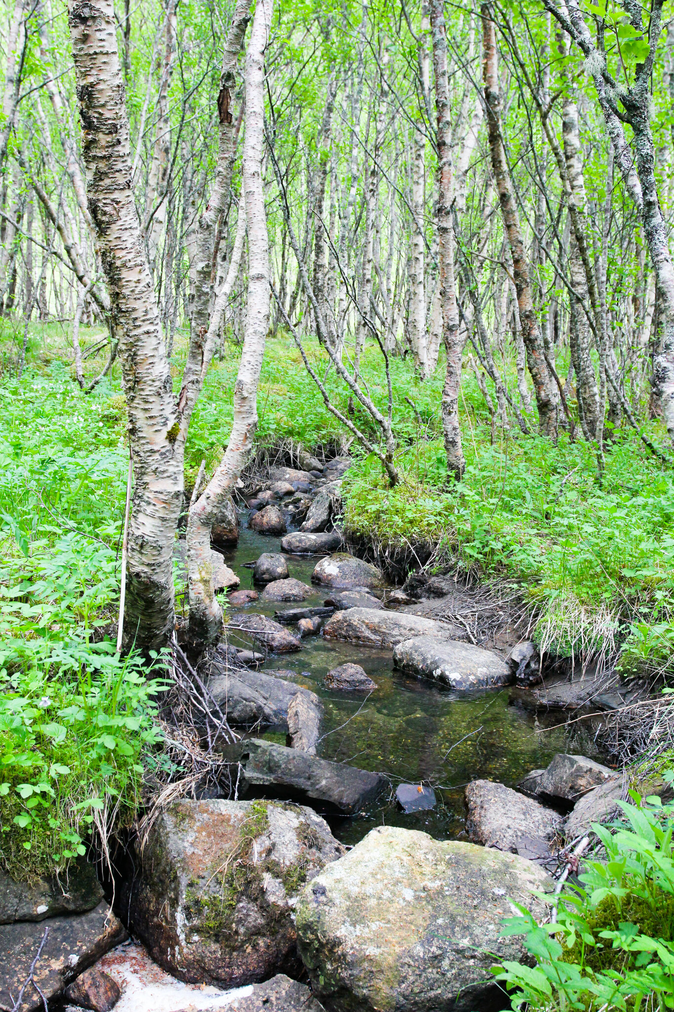 Stream Meaning in Hindi 