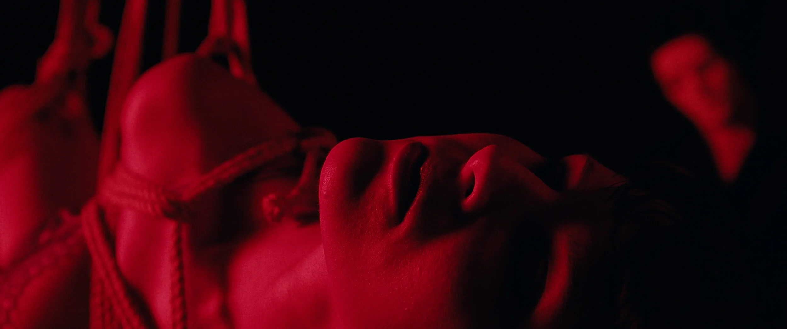 BMR - True Colors Master40.jpg