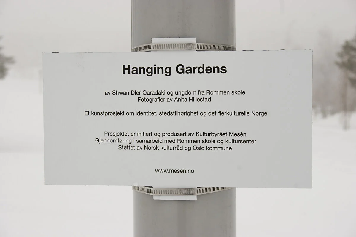 "Hanging Gardens" av Shwan Dler Qaradaki, utstilling utenfor Rommen skole. Foto: Anita Hillestad