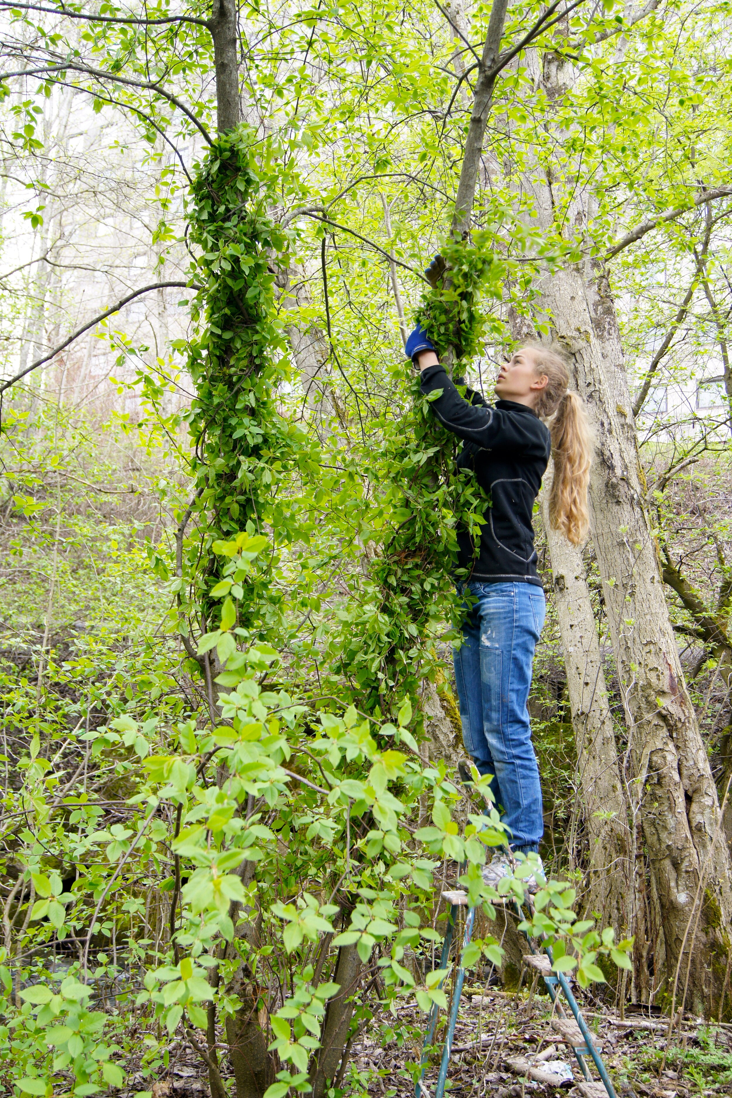 "LandArt" av Ingunn Wright og Christian Bermudez. Foto: Christian Bermudez