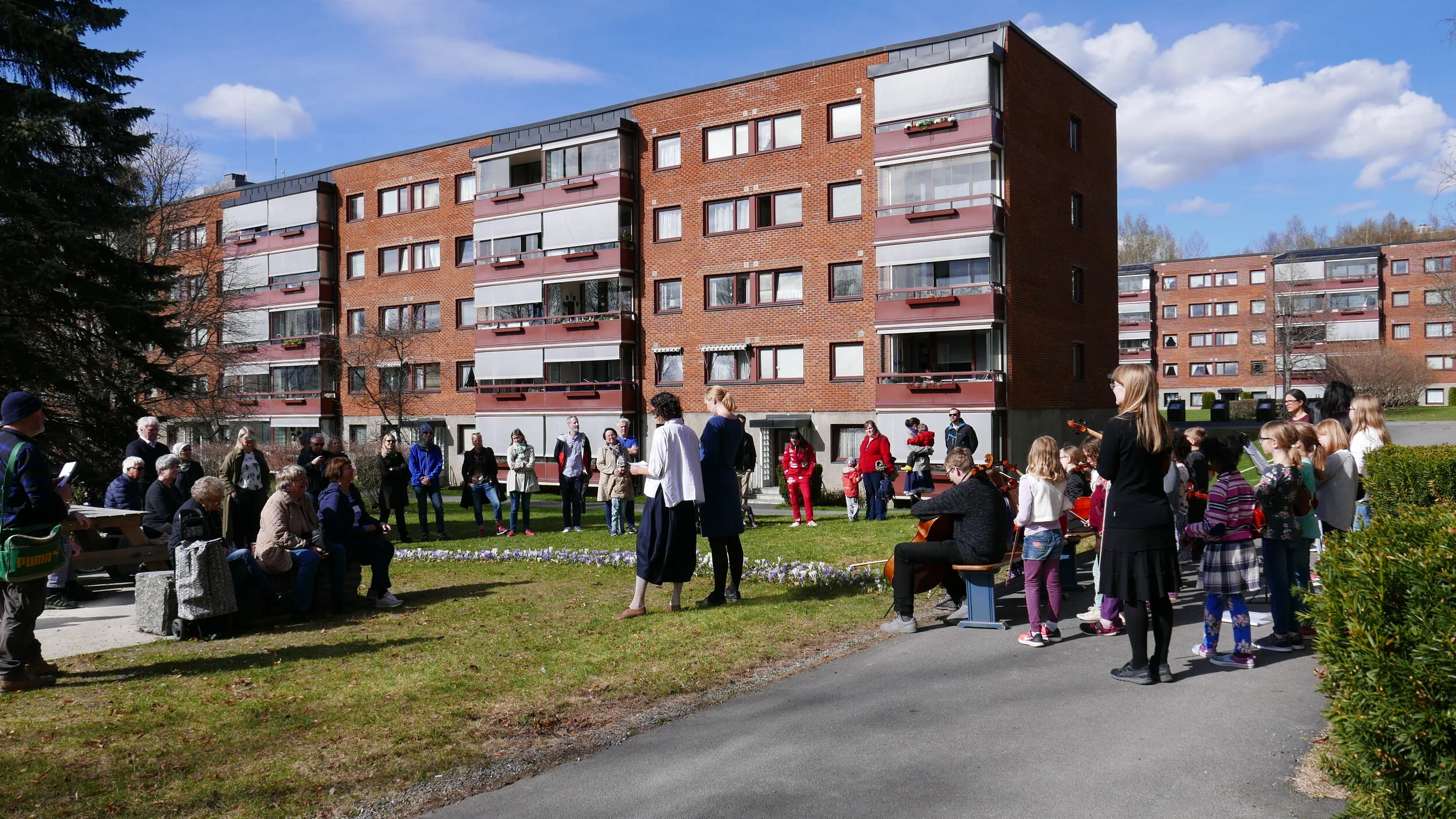 Fra åpningen av krokusbekken i 2018. Foto: Kulturbyrået Mesén